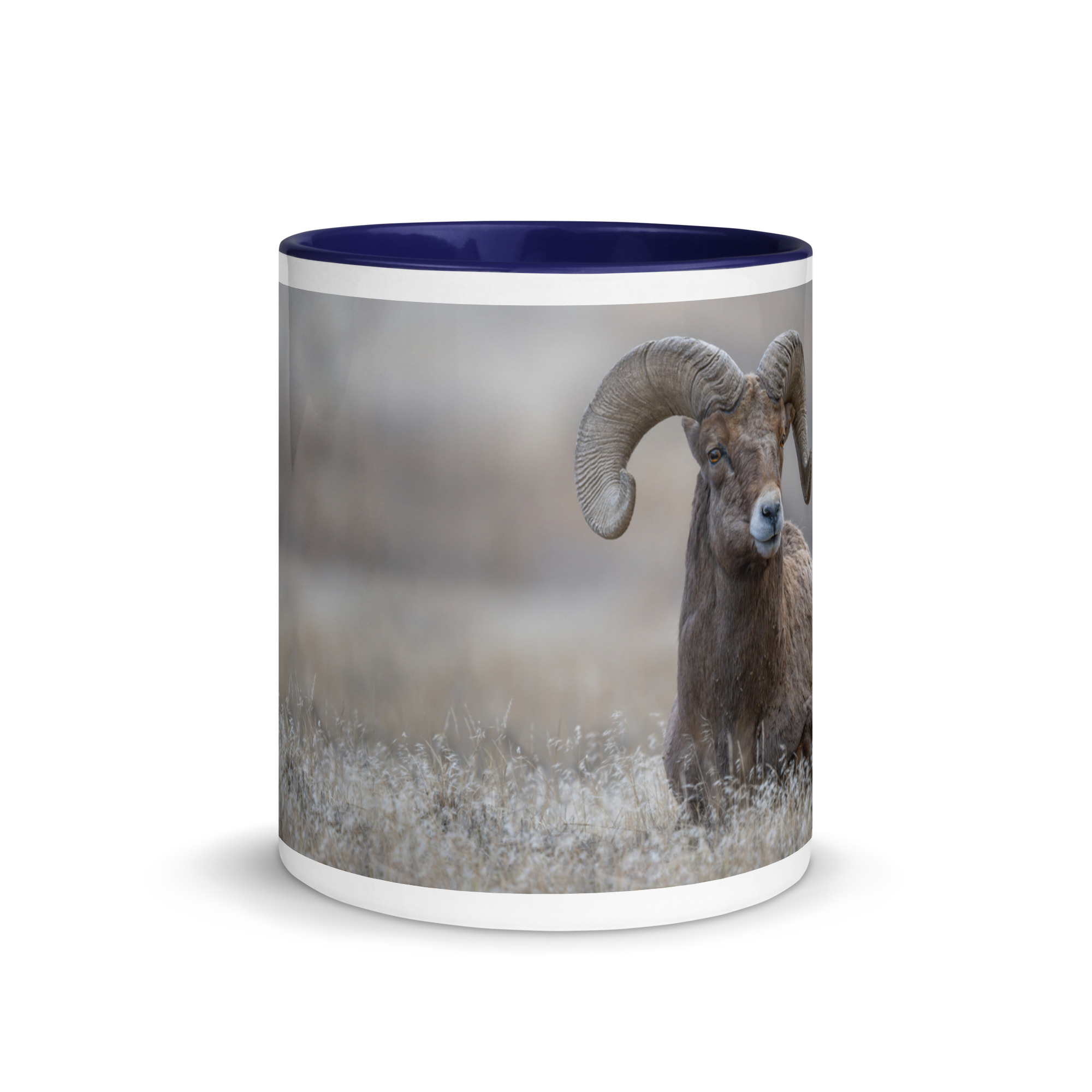 Monarch of Montana Meadows! Mug with Color Inside - Image 6