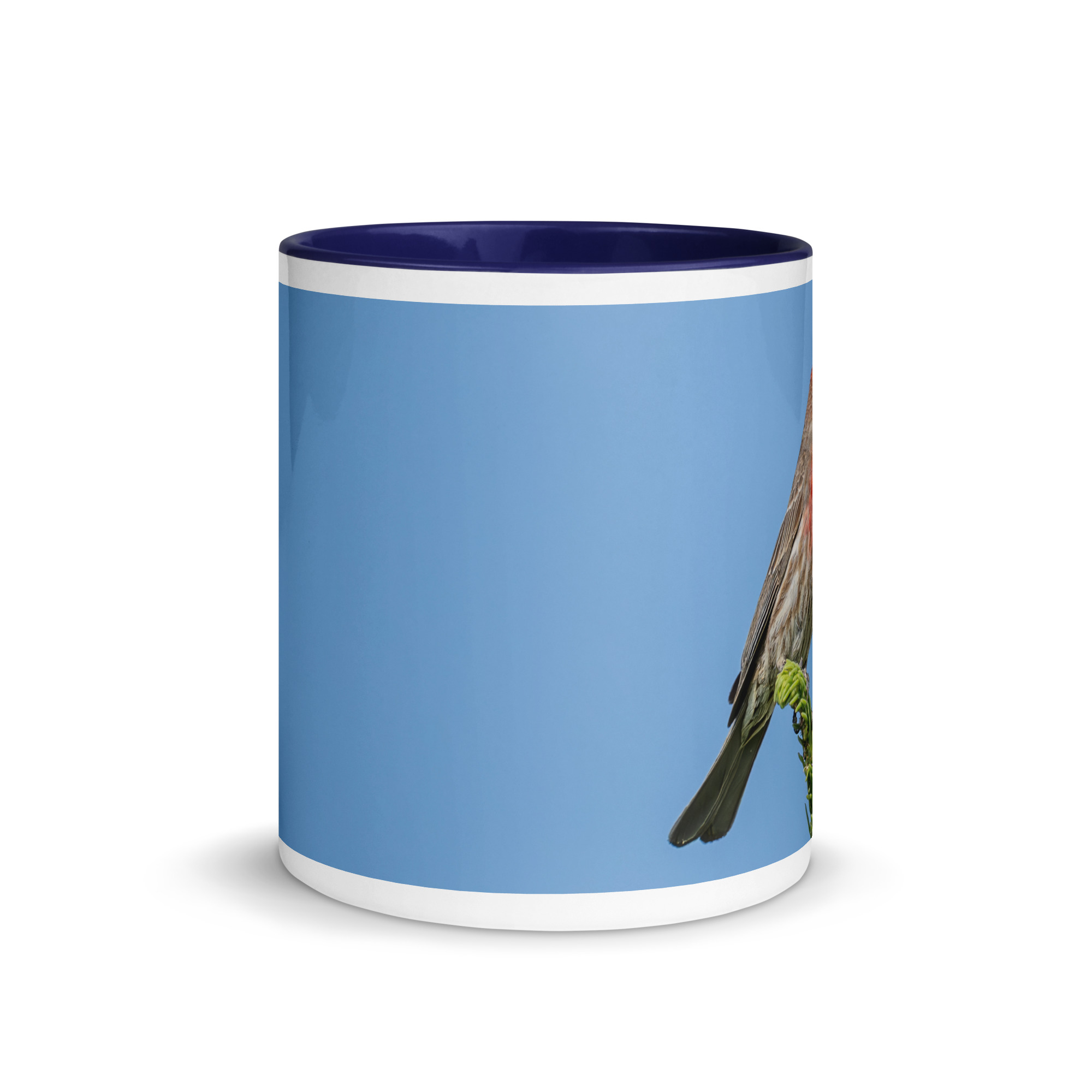 Male House Finch! Mug with Color Inside - Image 6