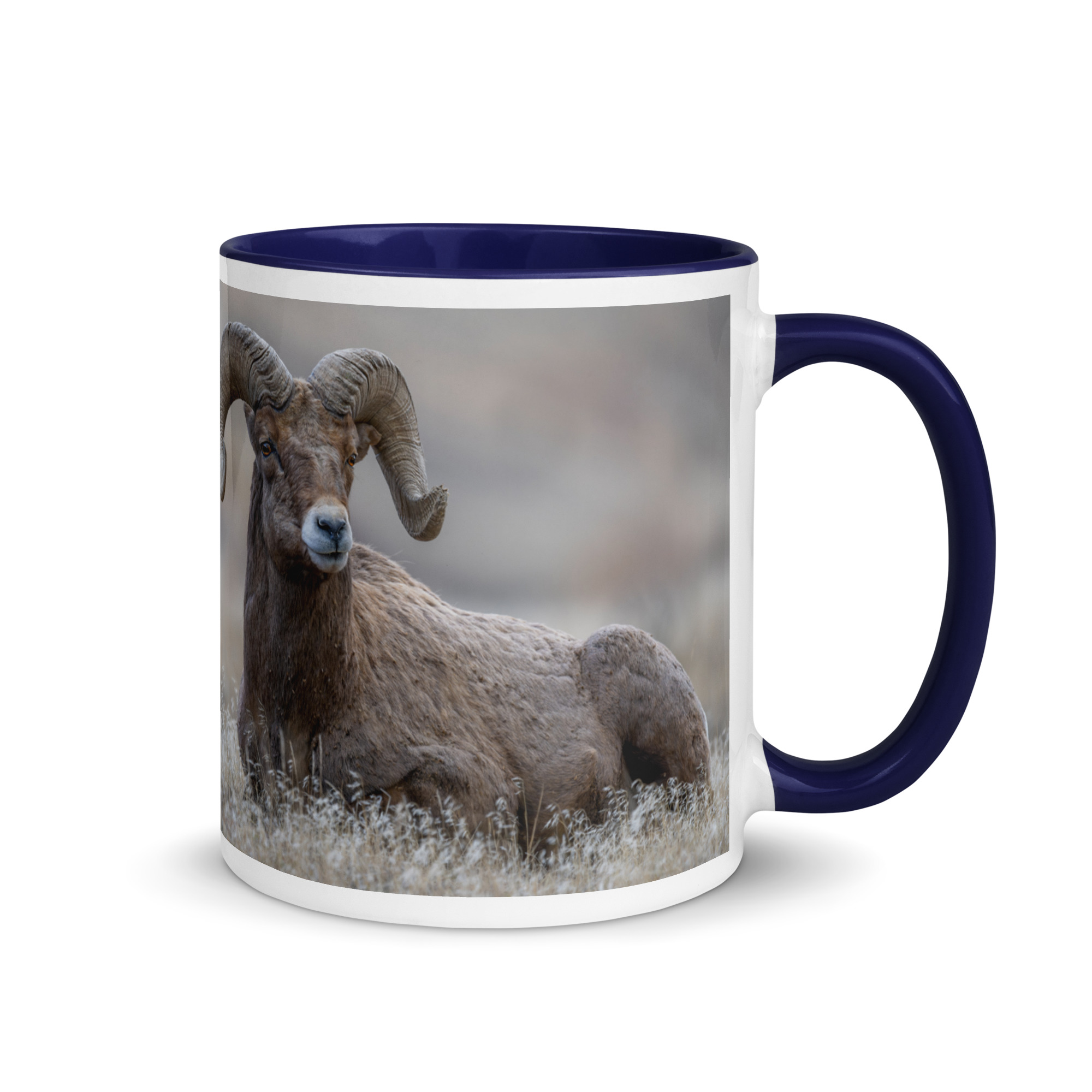 Monarch of Montana Meadows! Mug with Color Inside - Image 5