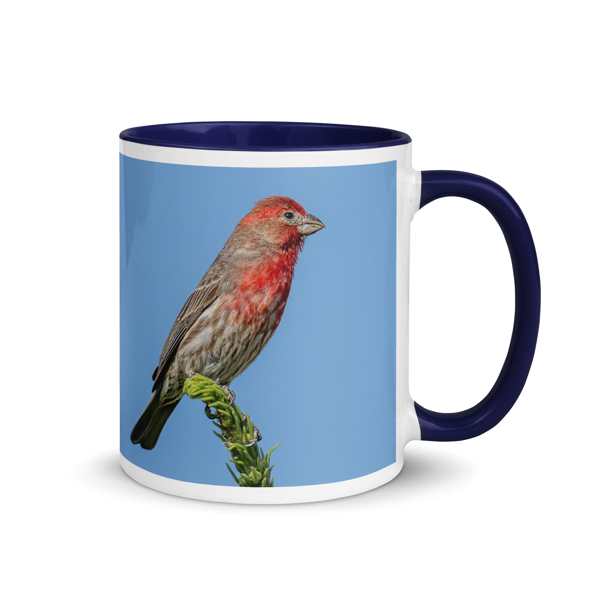 Male House Finch! Mug with Color Inside - Image 5
