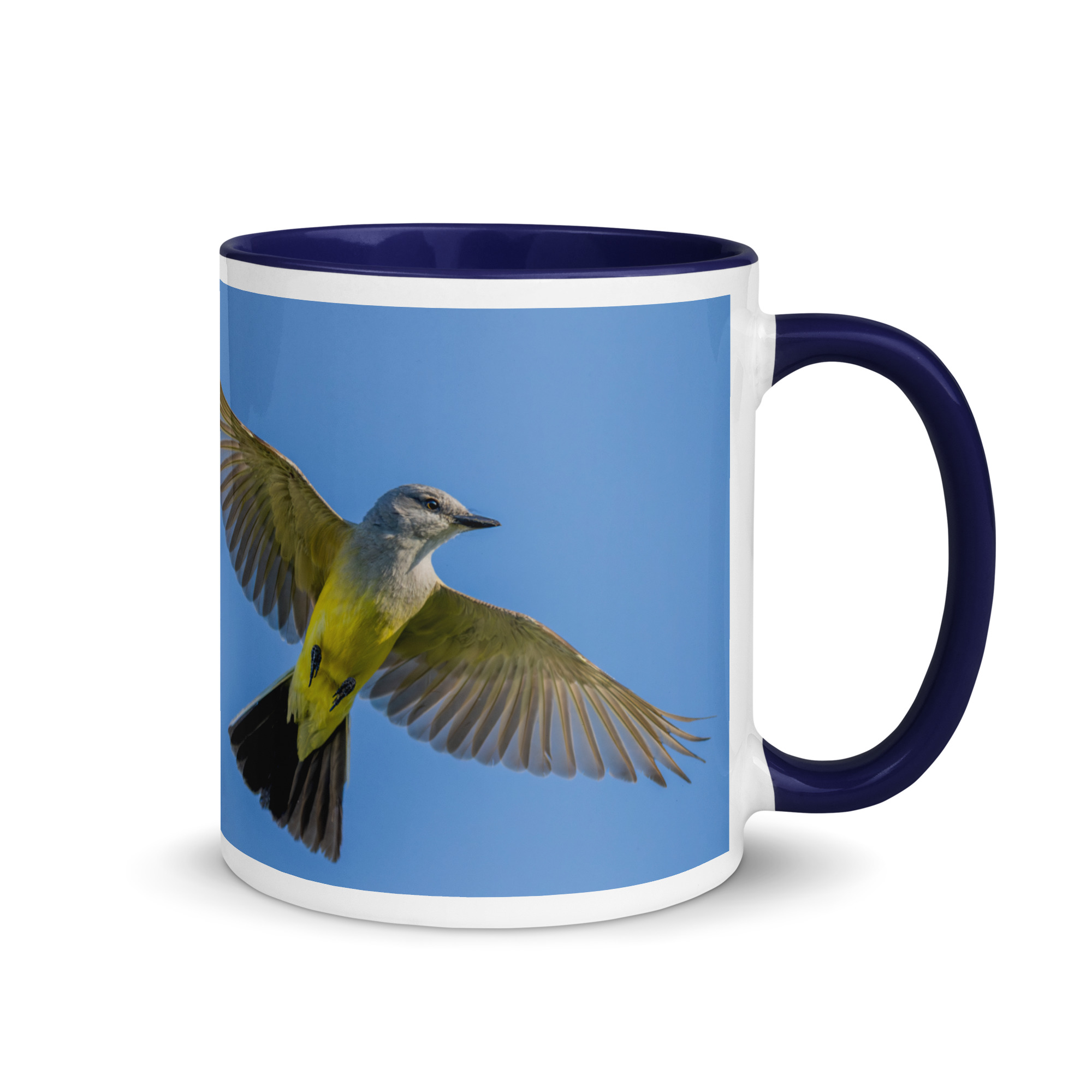 Western kingbird in flight! Mug with Color Inside - Image 5