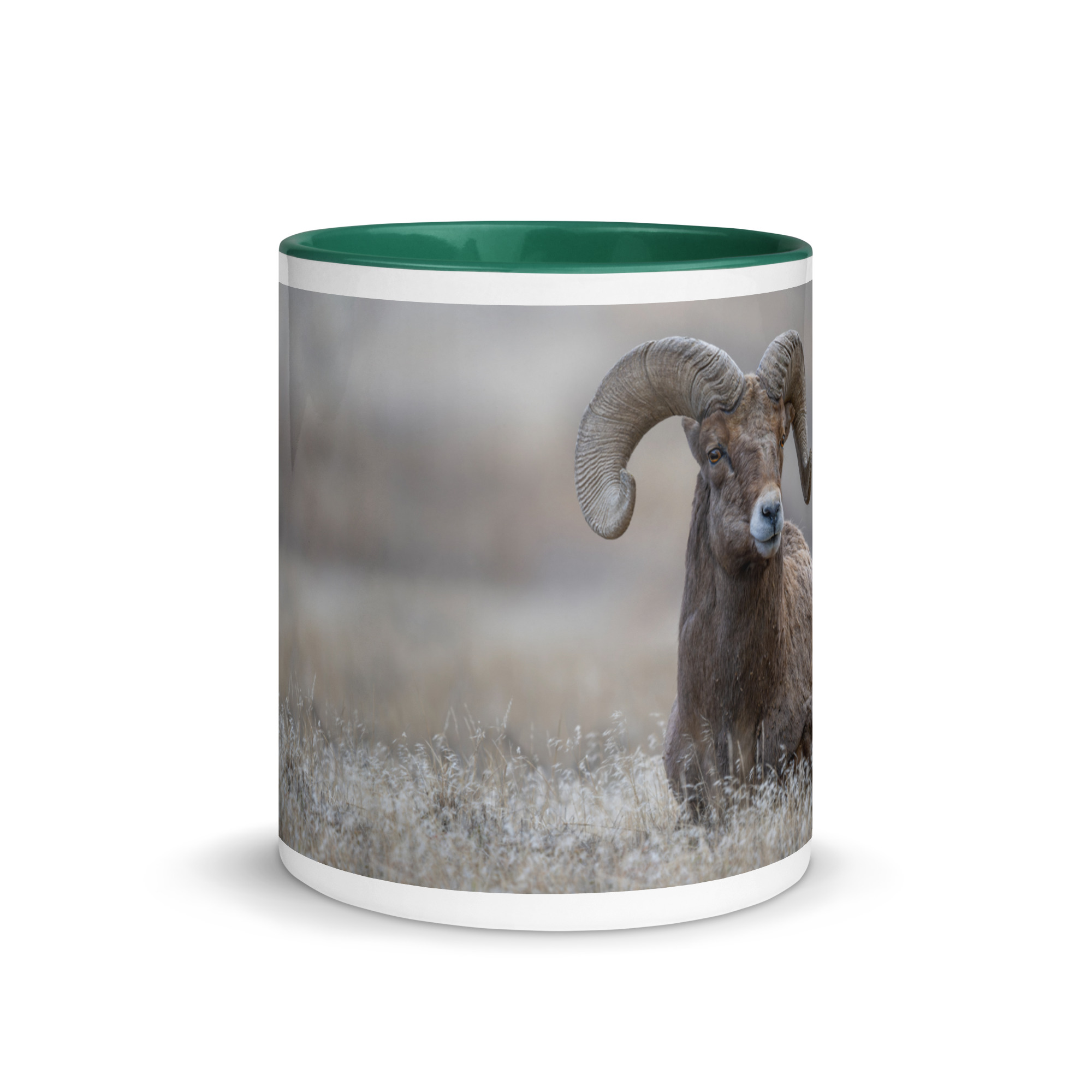 Monarch of Montana Meadows! Mug with Color Inside - Image 11