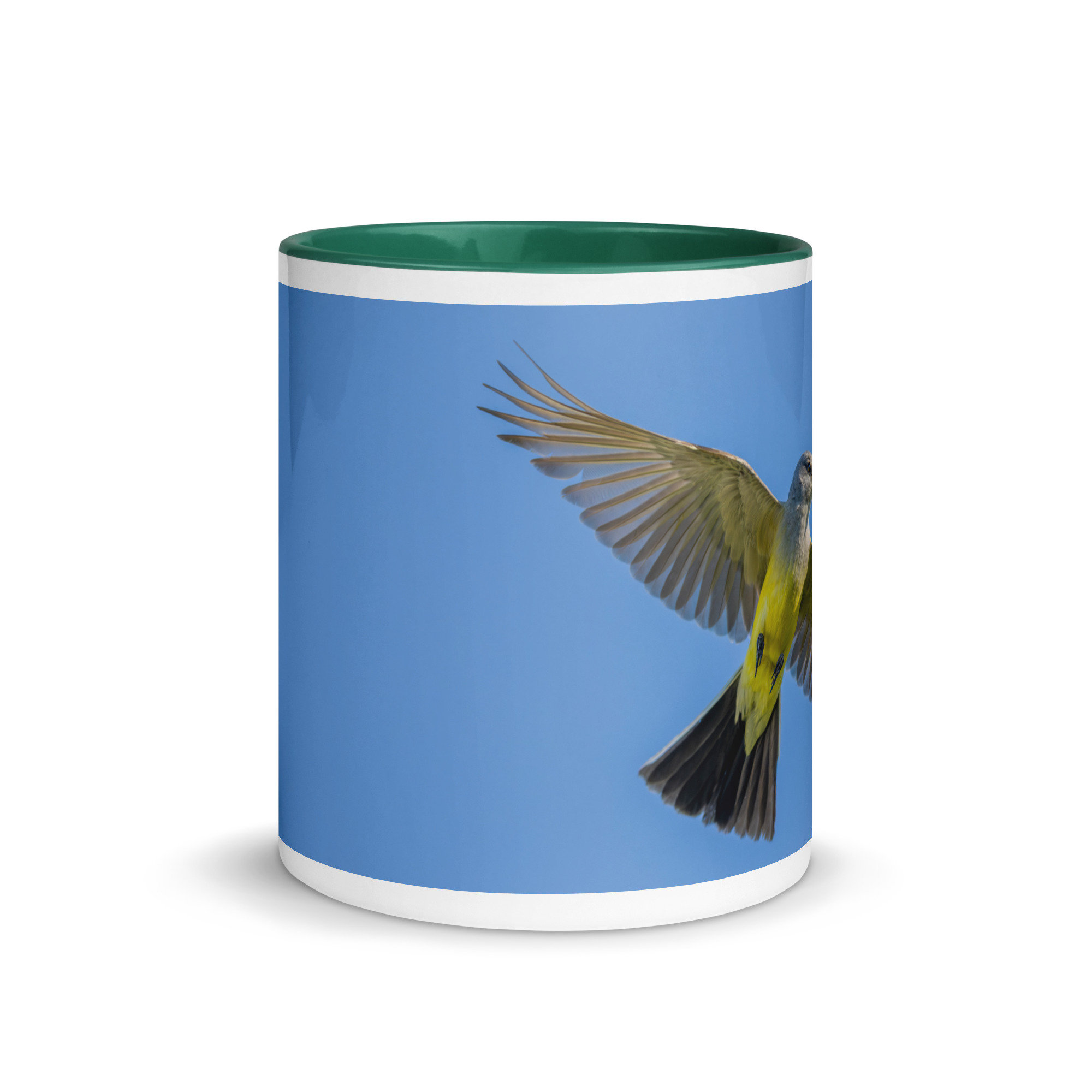 Western kingbird in flight! Mug with Color Inside - Image 11