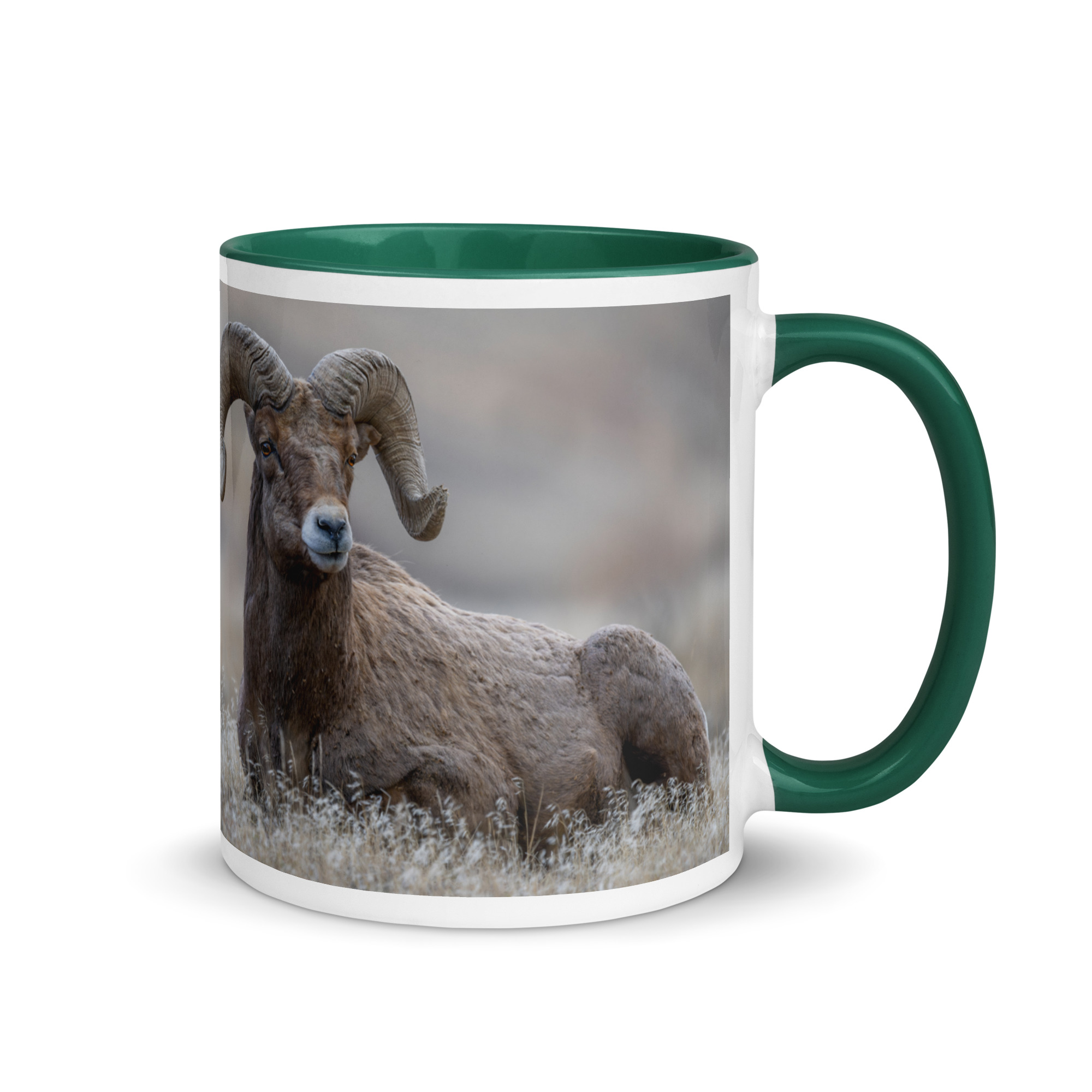 Monarch of Montana Meadows! Mug with Color Inside - Image 10