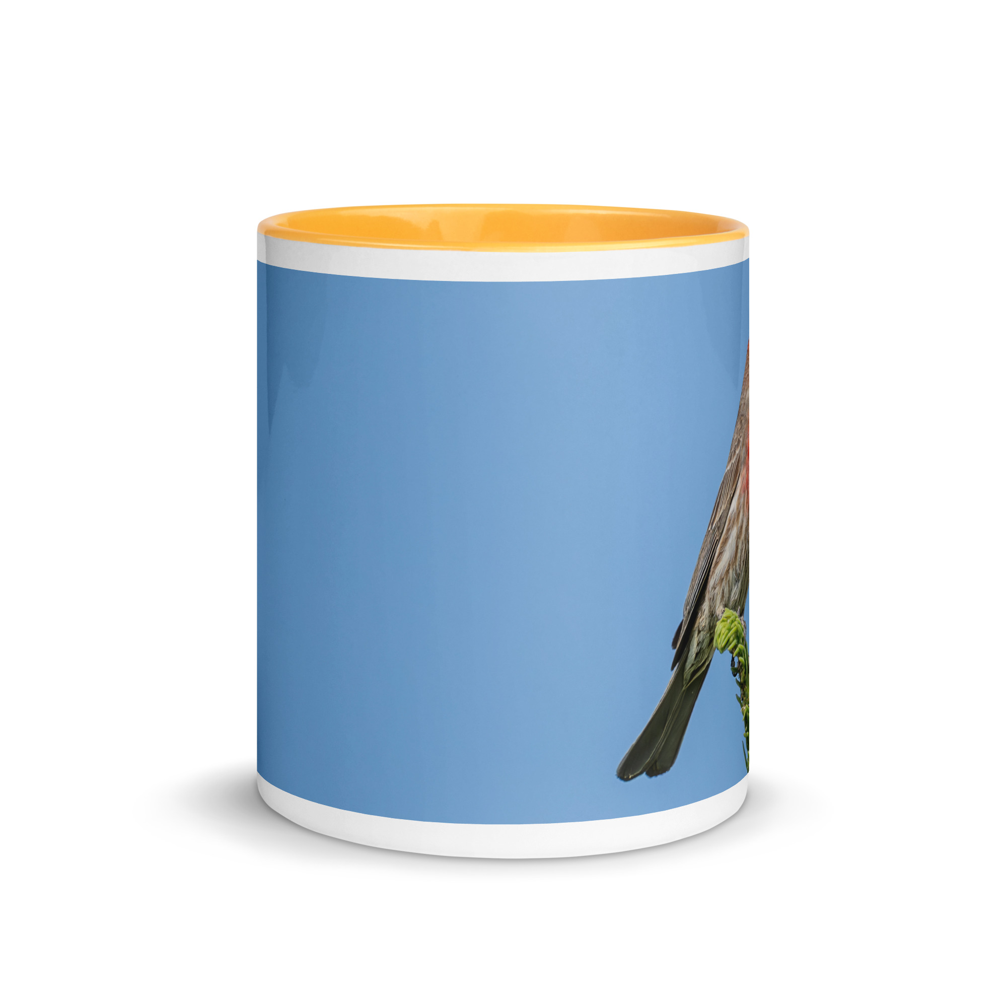 Male House Finch! Mug with Color Inside - Image 23