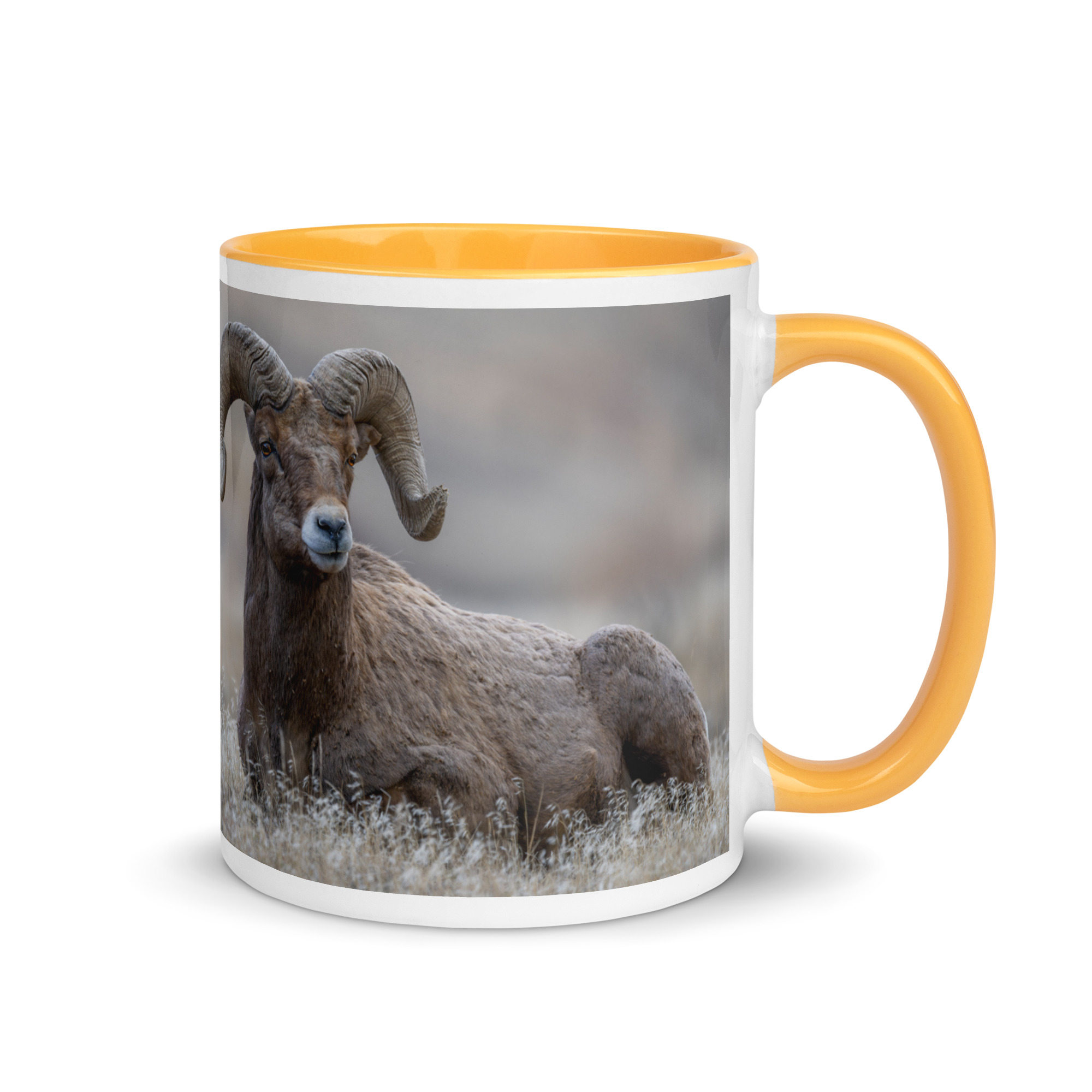 Monarch of Montana Meadows! Mug with Color Inside - Image 22