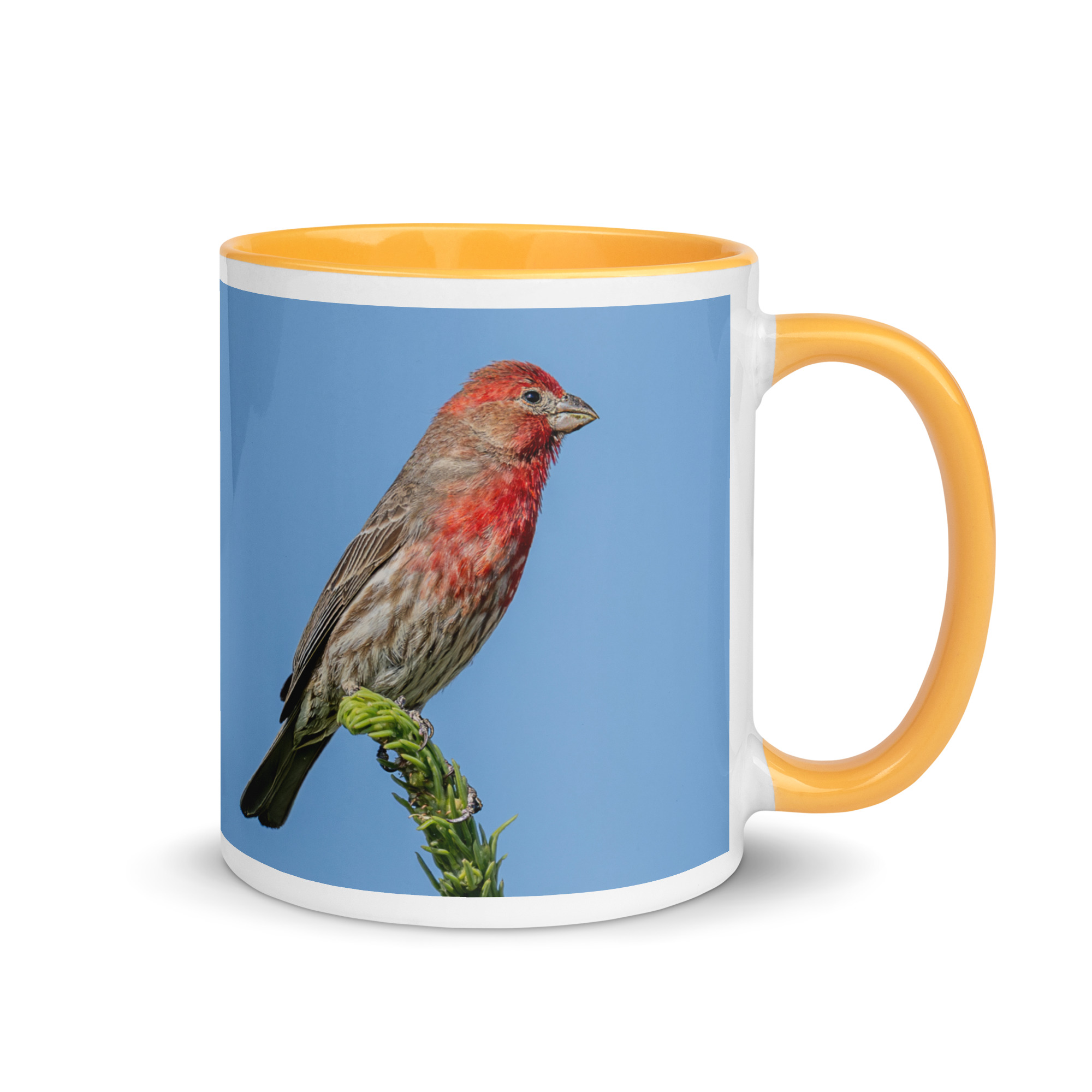 Male House Finch! Mug with Color Inside - Image 22