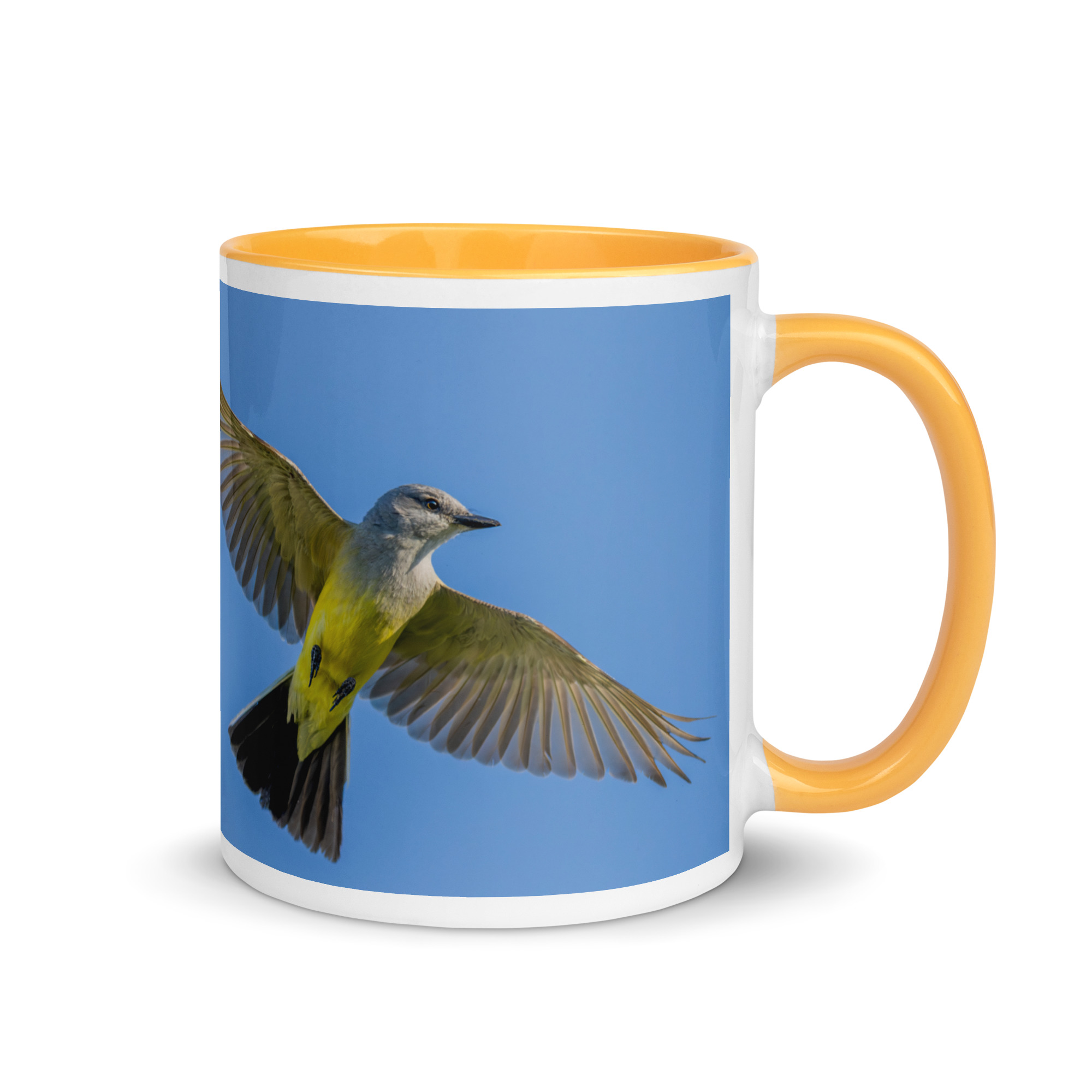 Western kingbird in flight! Mug with Color Inside - Image 22