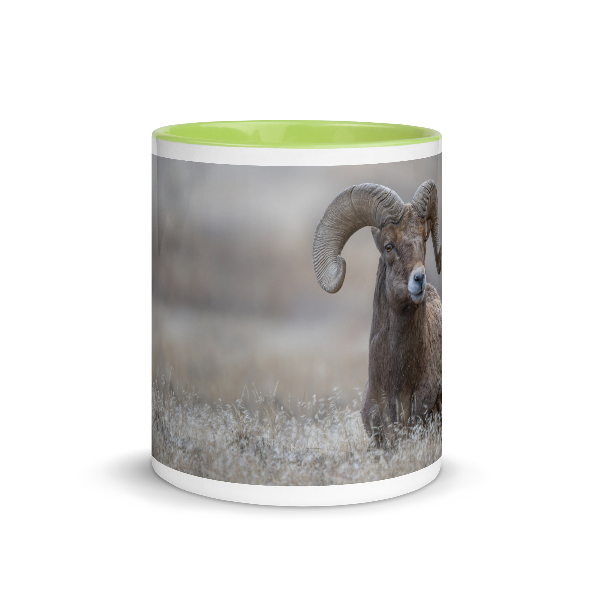 Monarch of Montana Meadows! Mug with Color Inside - Image 26