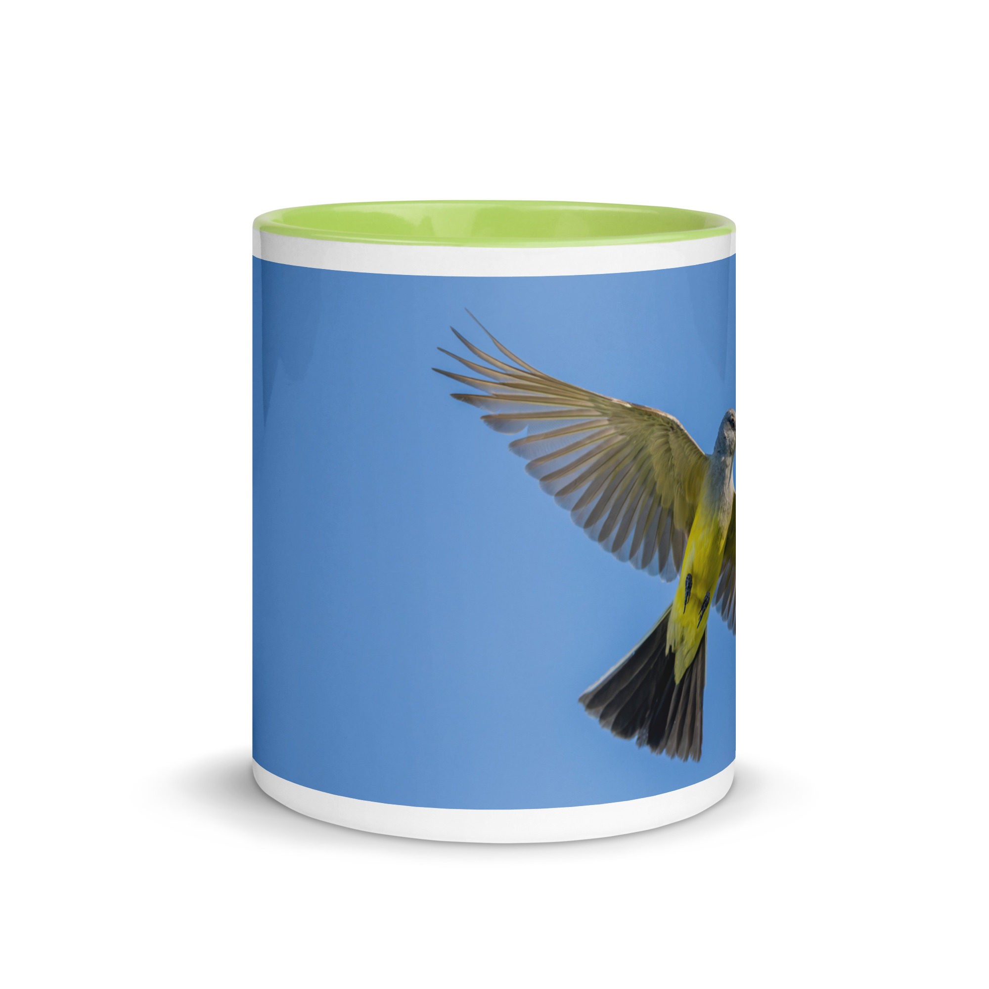 Western kingbird in flight! Mug with Color Inside - Image 26