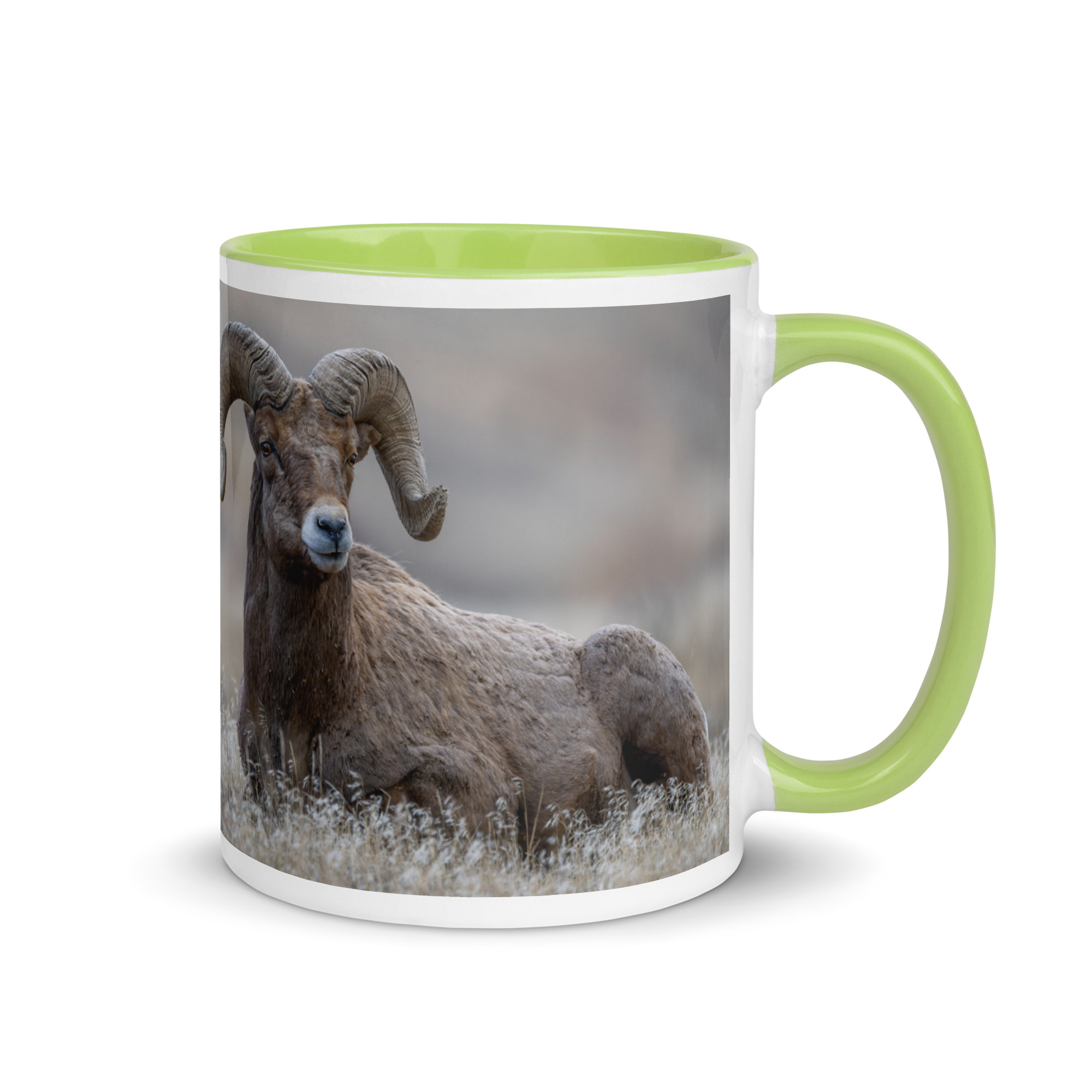 Monarch of Montana Meadows! Mug with Color Inside - Image 25
