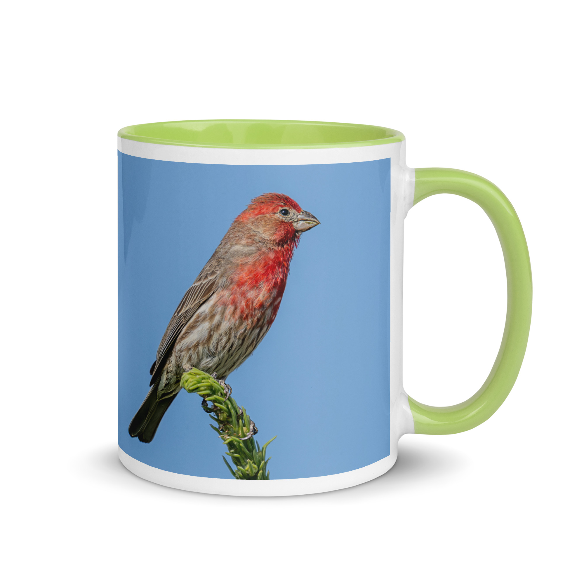 Male House Finch! Mug with Color Inside - Image 25