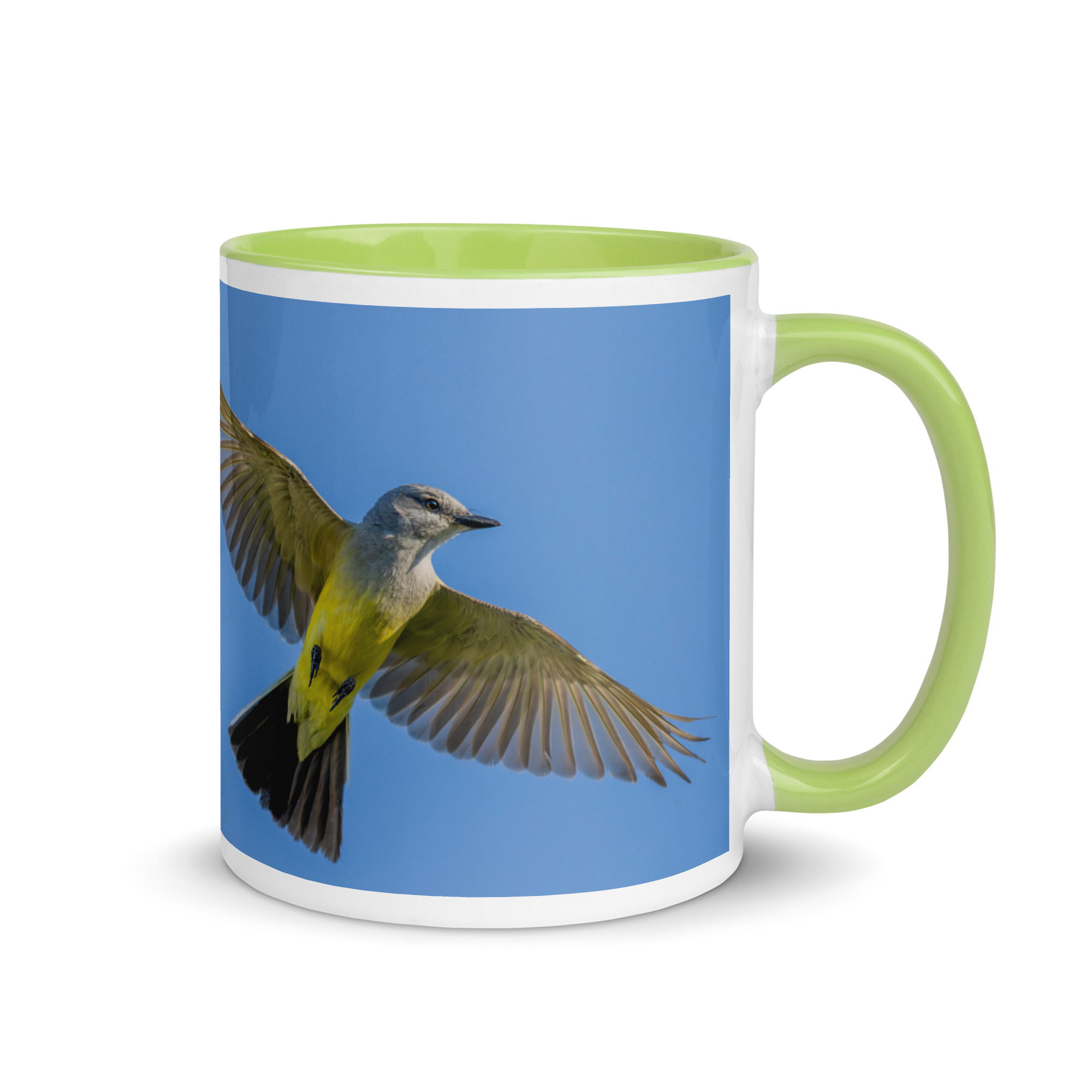 Western kingbird in flight! Mug with Color Inside - Image 25