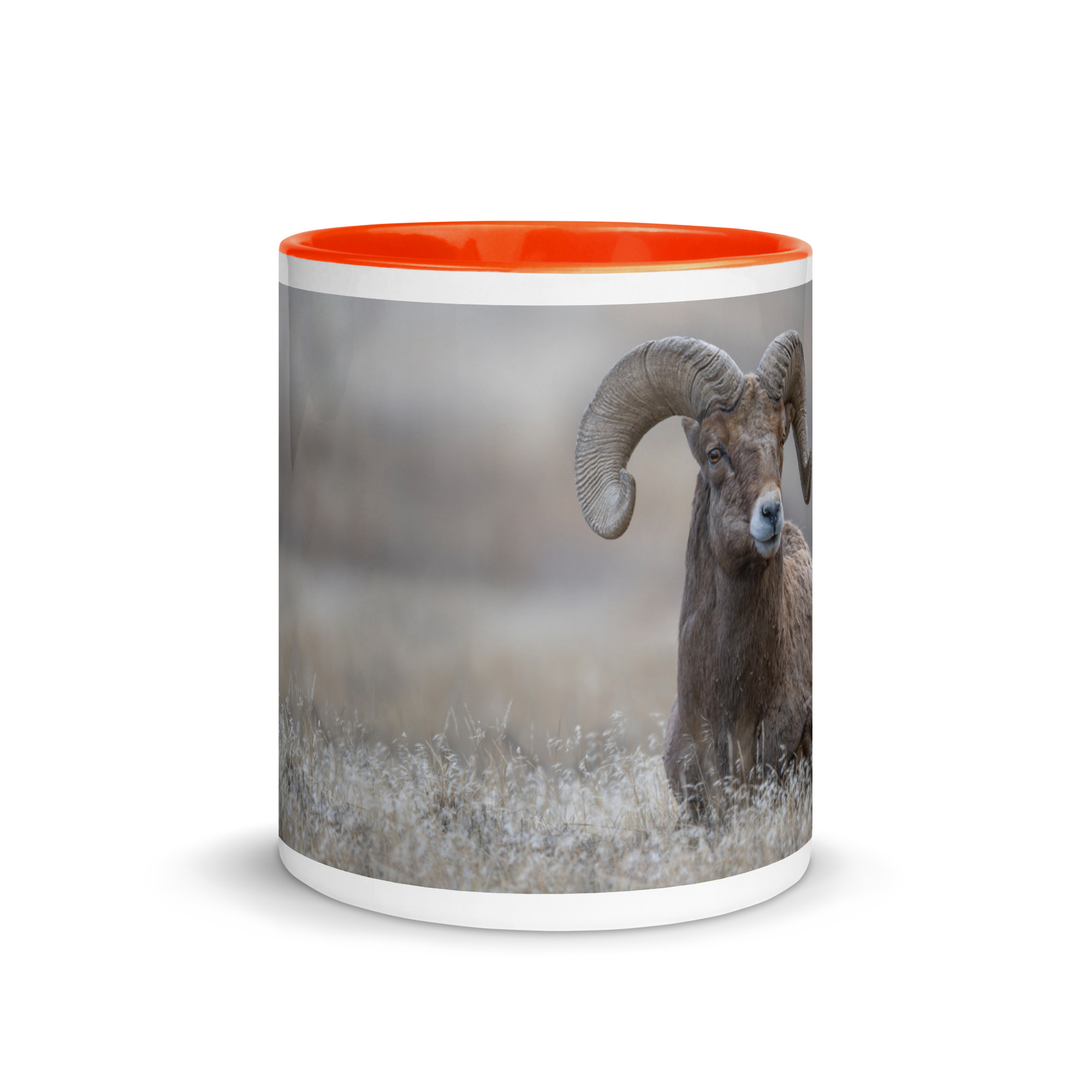 Monarch of Montana Meadows! Mug with Color Inside - Image 14
