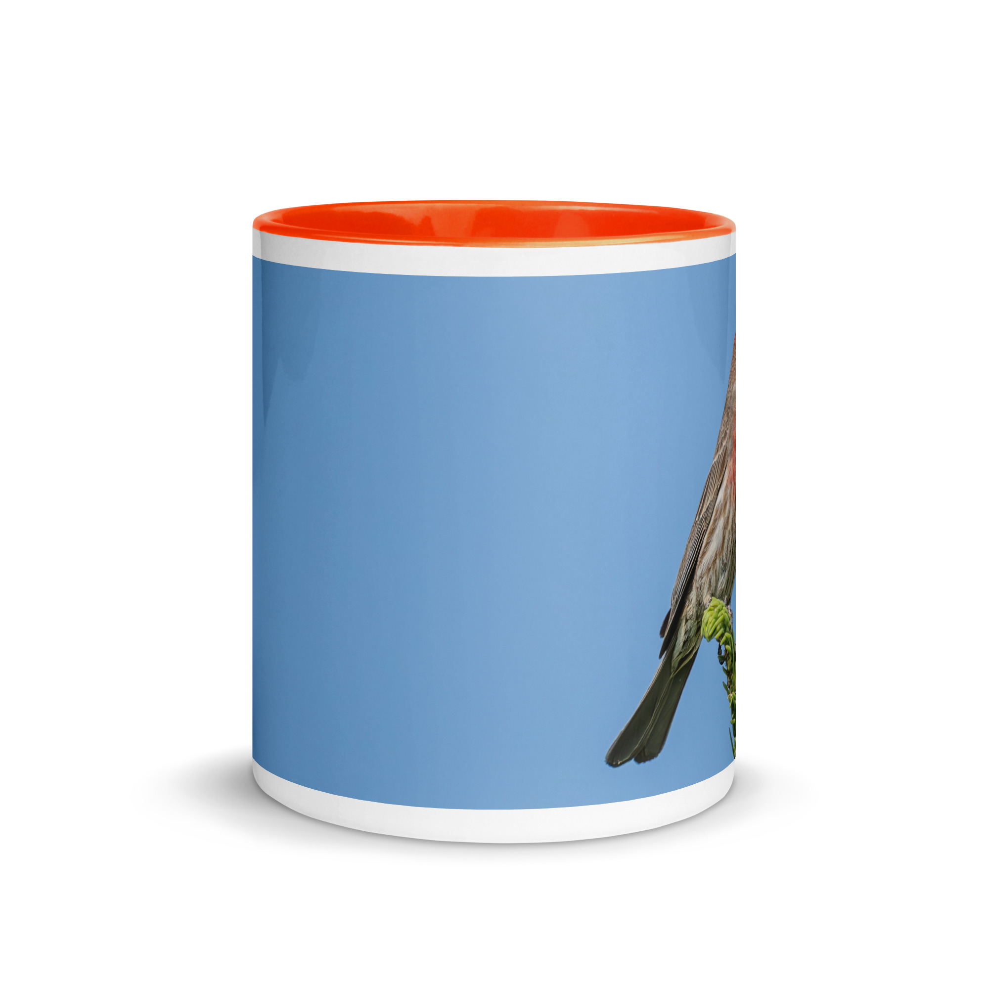 Male House Finch! Mug with Color Inside - Image 14