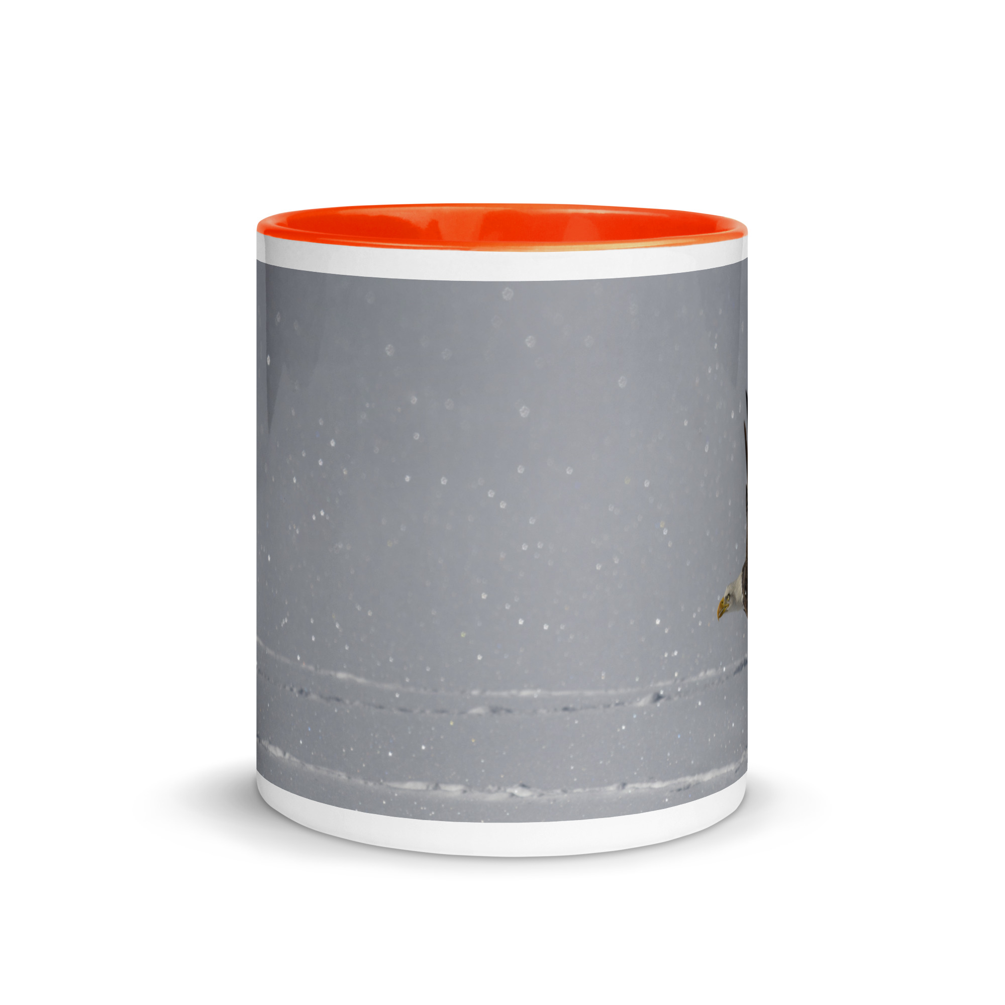 Bald eagle hunting in snow! Mug with Color Inside - Image 14