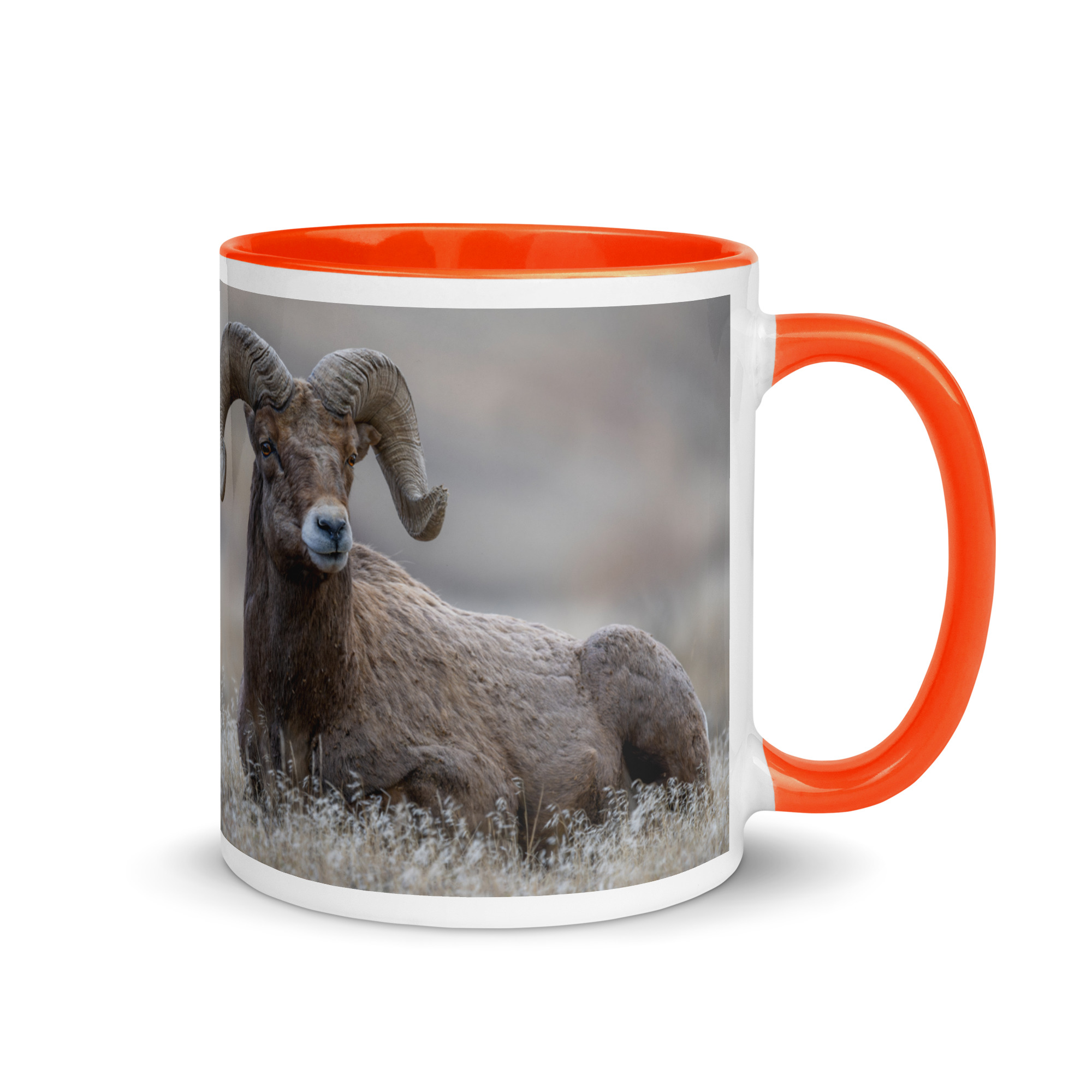 Monarch of Montana Meadows! Mug with Color Inside - Image 13