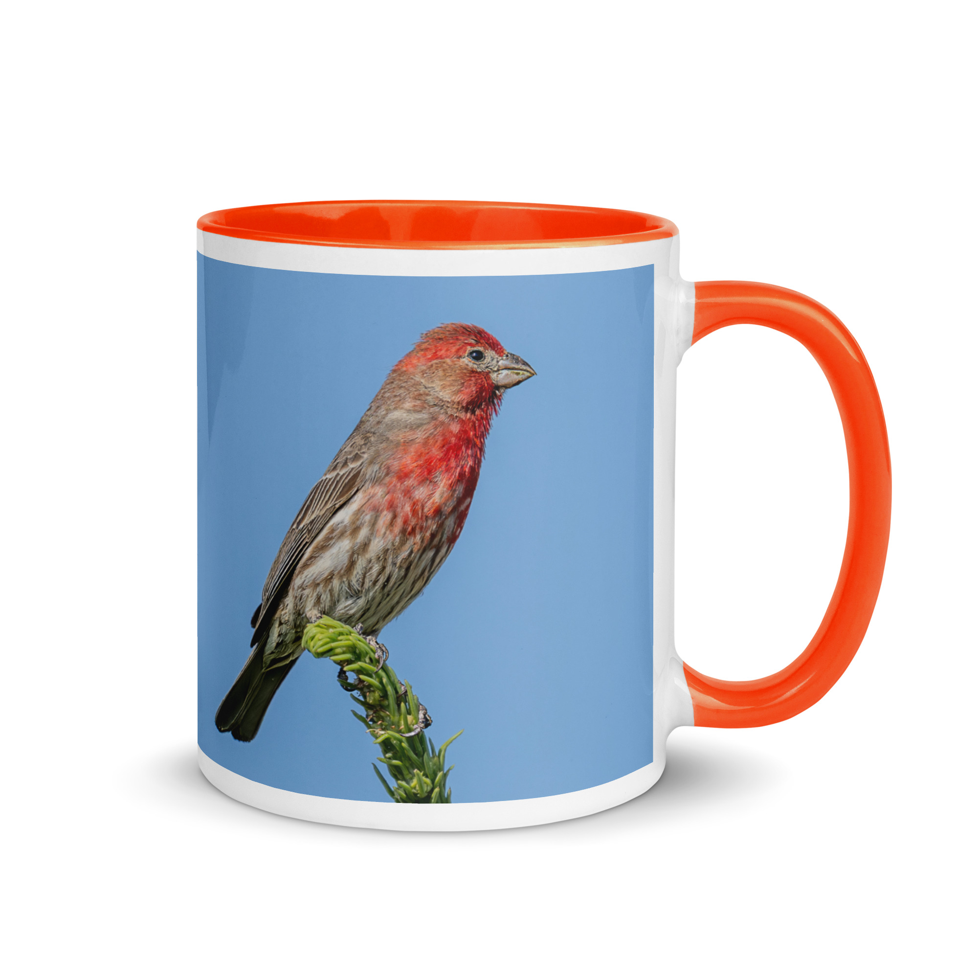 Male House Finch! Mug with Color Inside - Image 13
