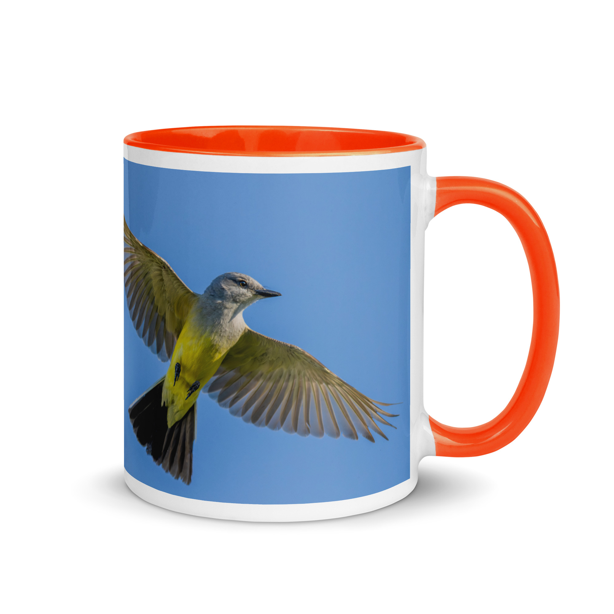 Western kingbird in flight! Mug with Color Inside - Image 13