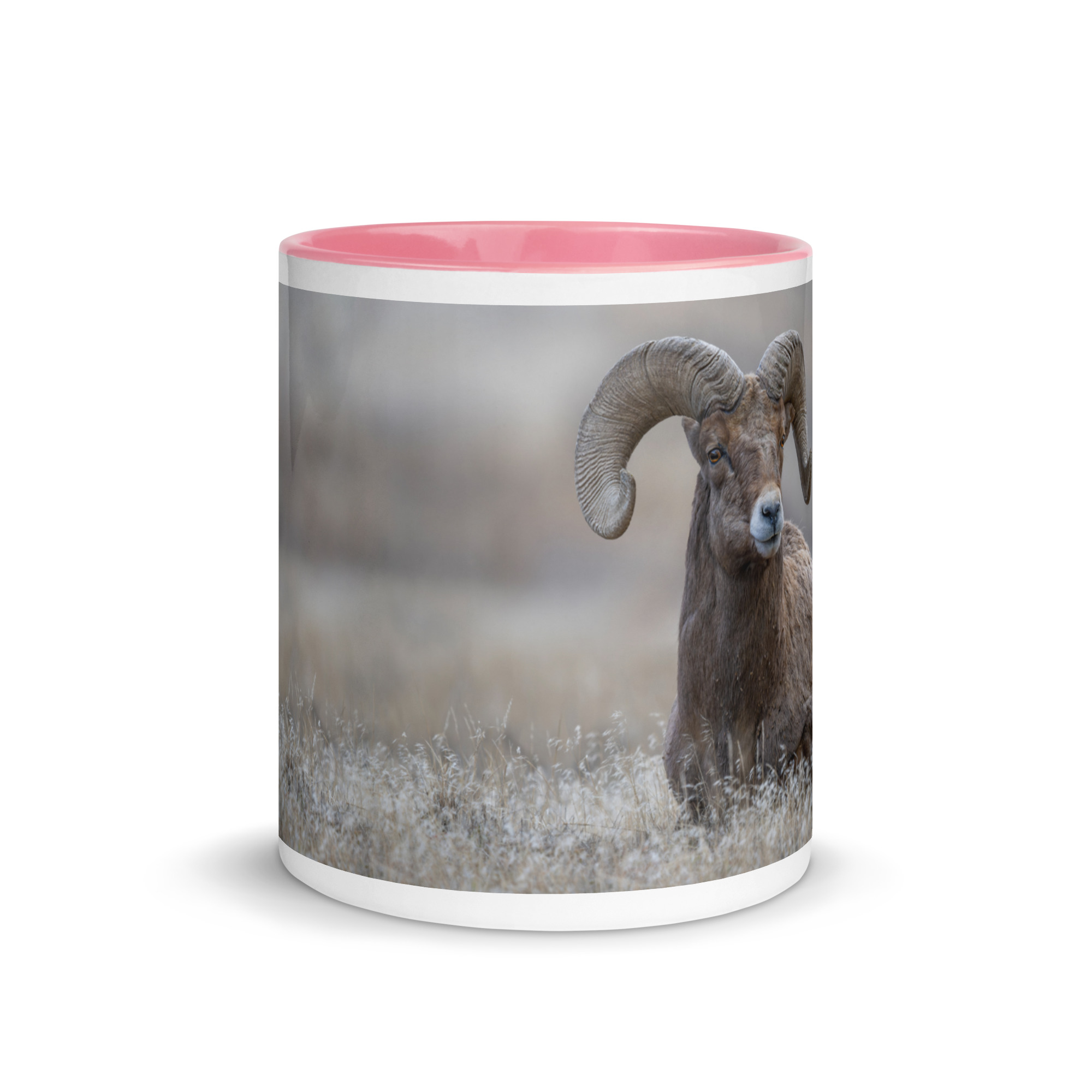 Monarch of Montana Meadows! Mug with Color Inside - Image 20