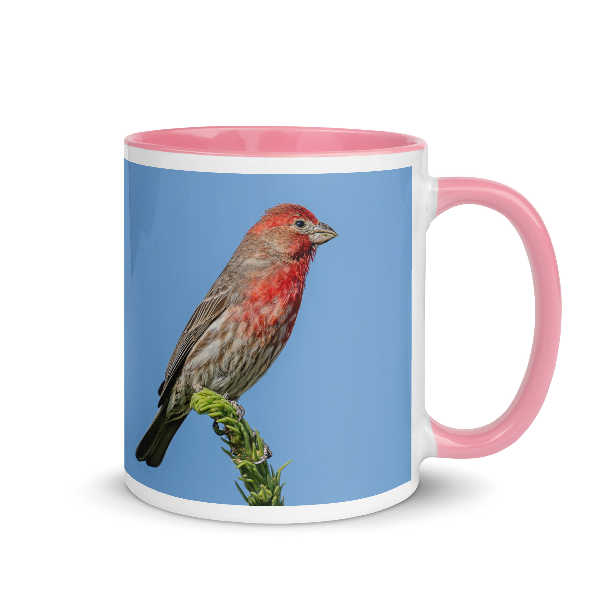 Male House Finch! Mug with Color Inside - Image 19