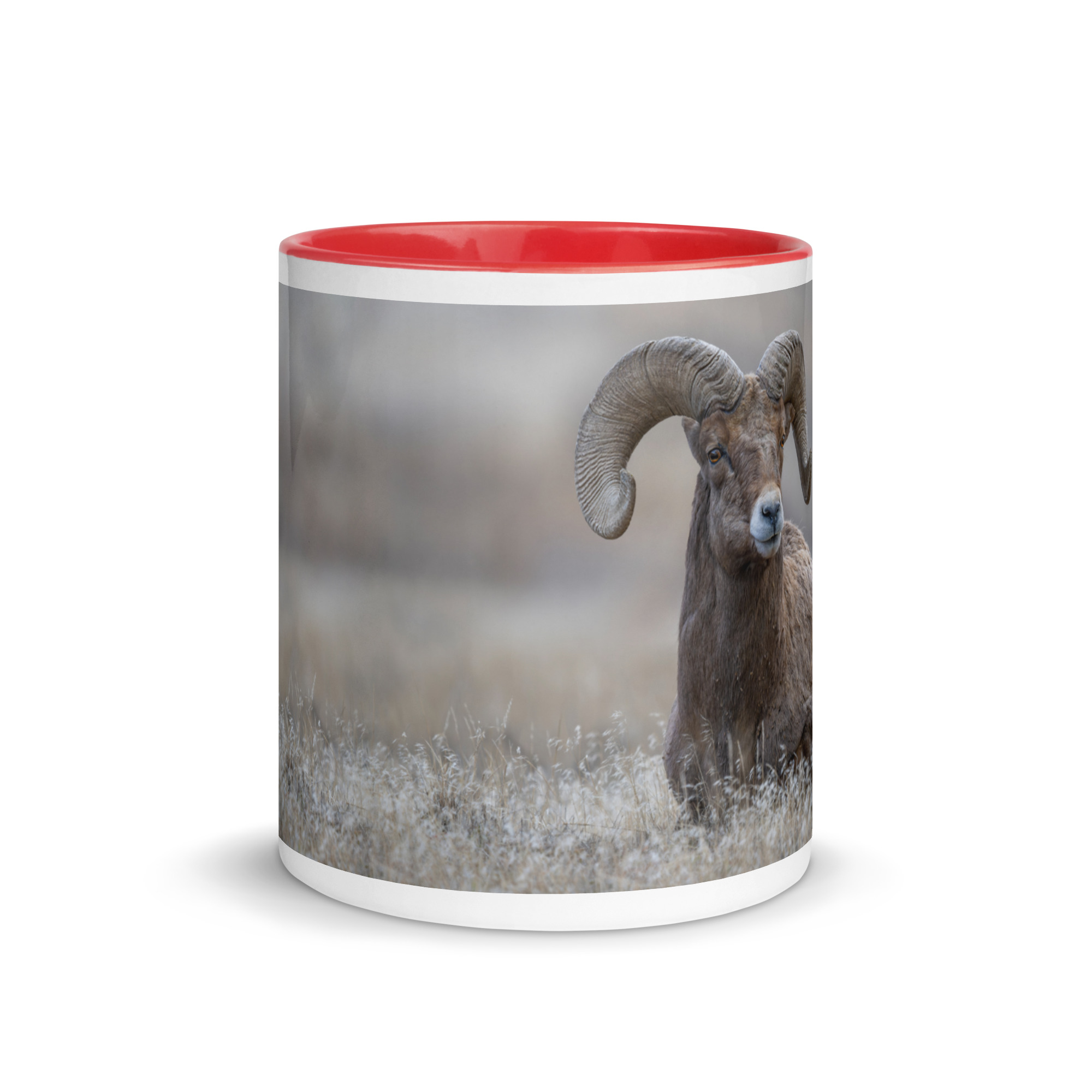 Monarch of Montana Meadows! Mug with Color Inside - Image 8
