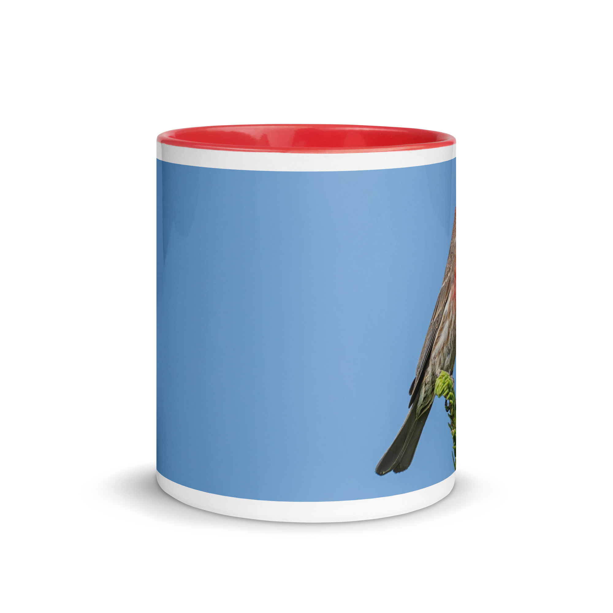 Male House Finch! Mug with Color Inside - Image 8