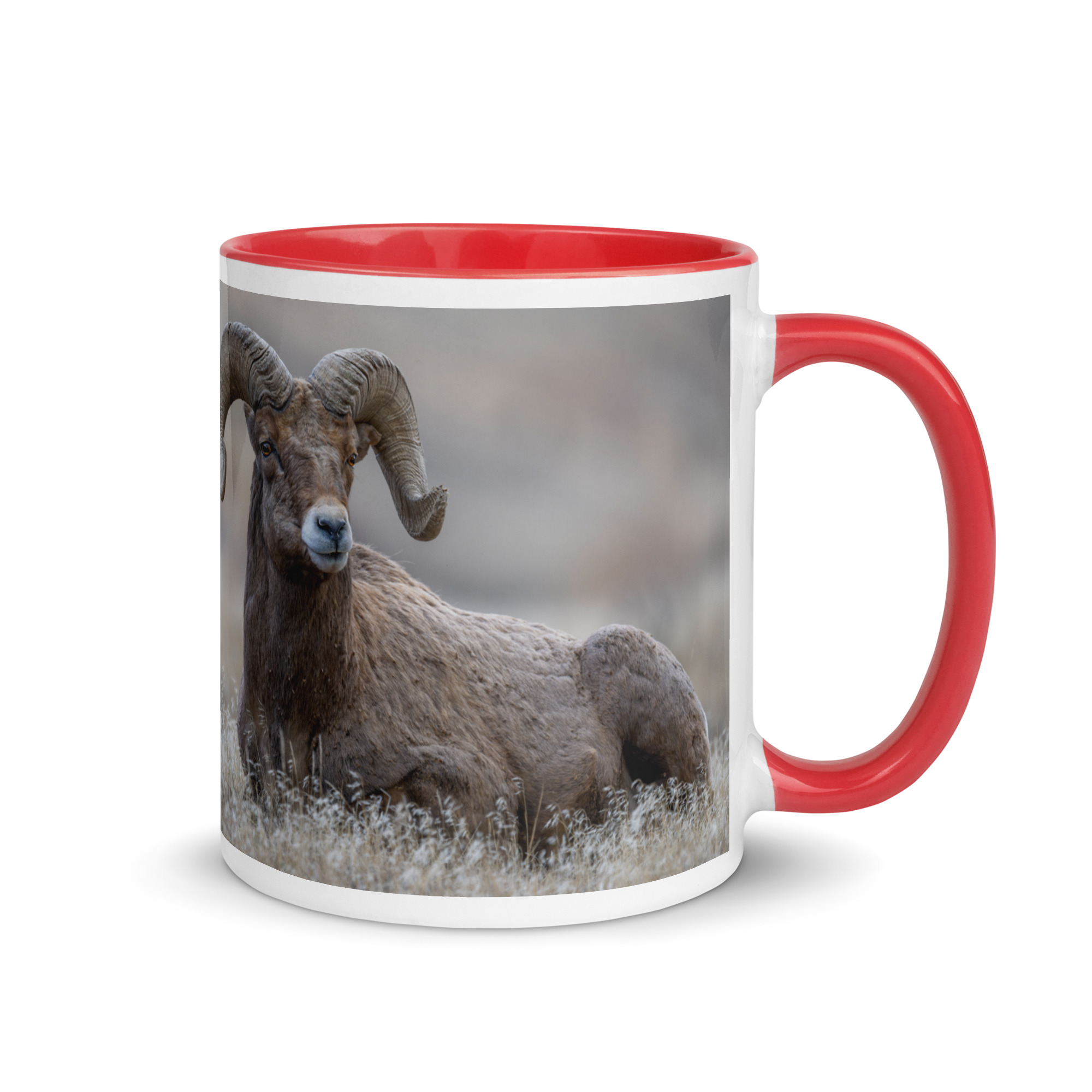 Monarch of Montana Meadows! Mug with Color Inside