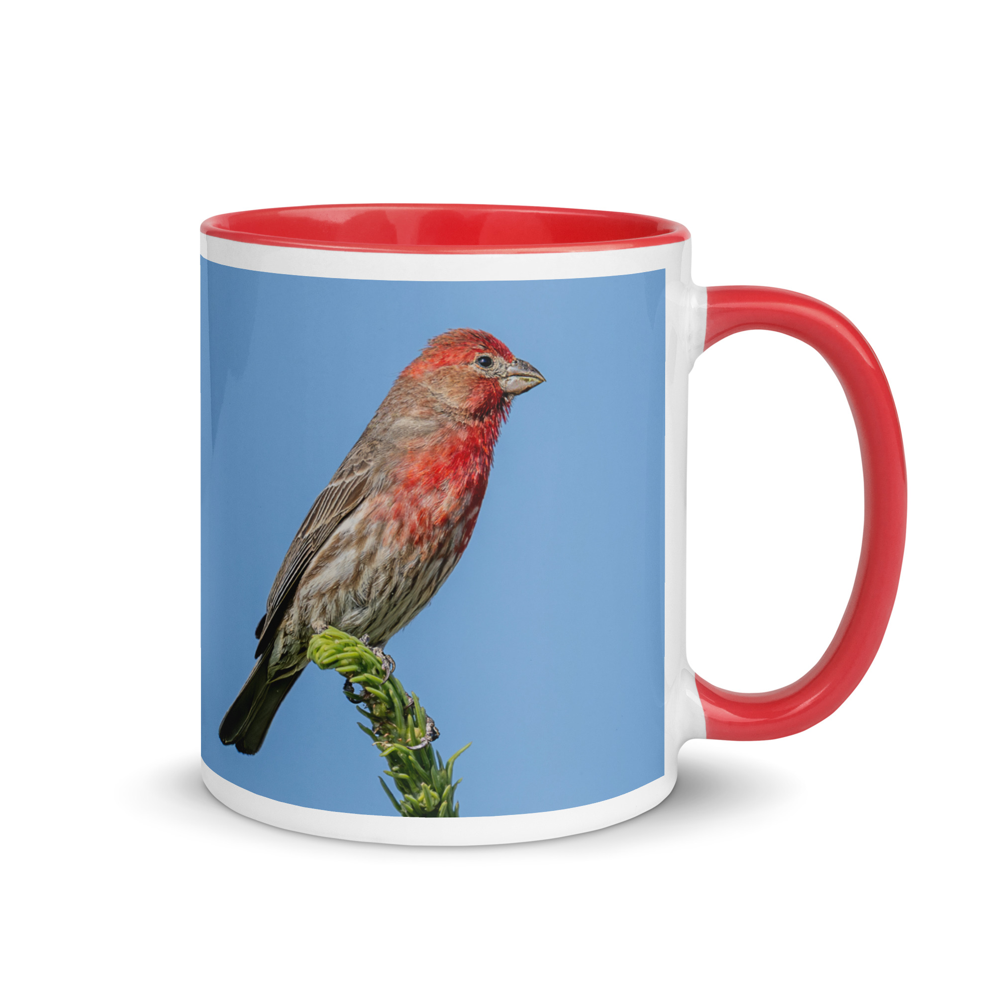 Male House Finch! Mug with Color Inside