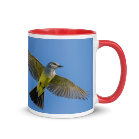 Western kingbird in flight! Mug with Color Inside