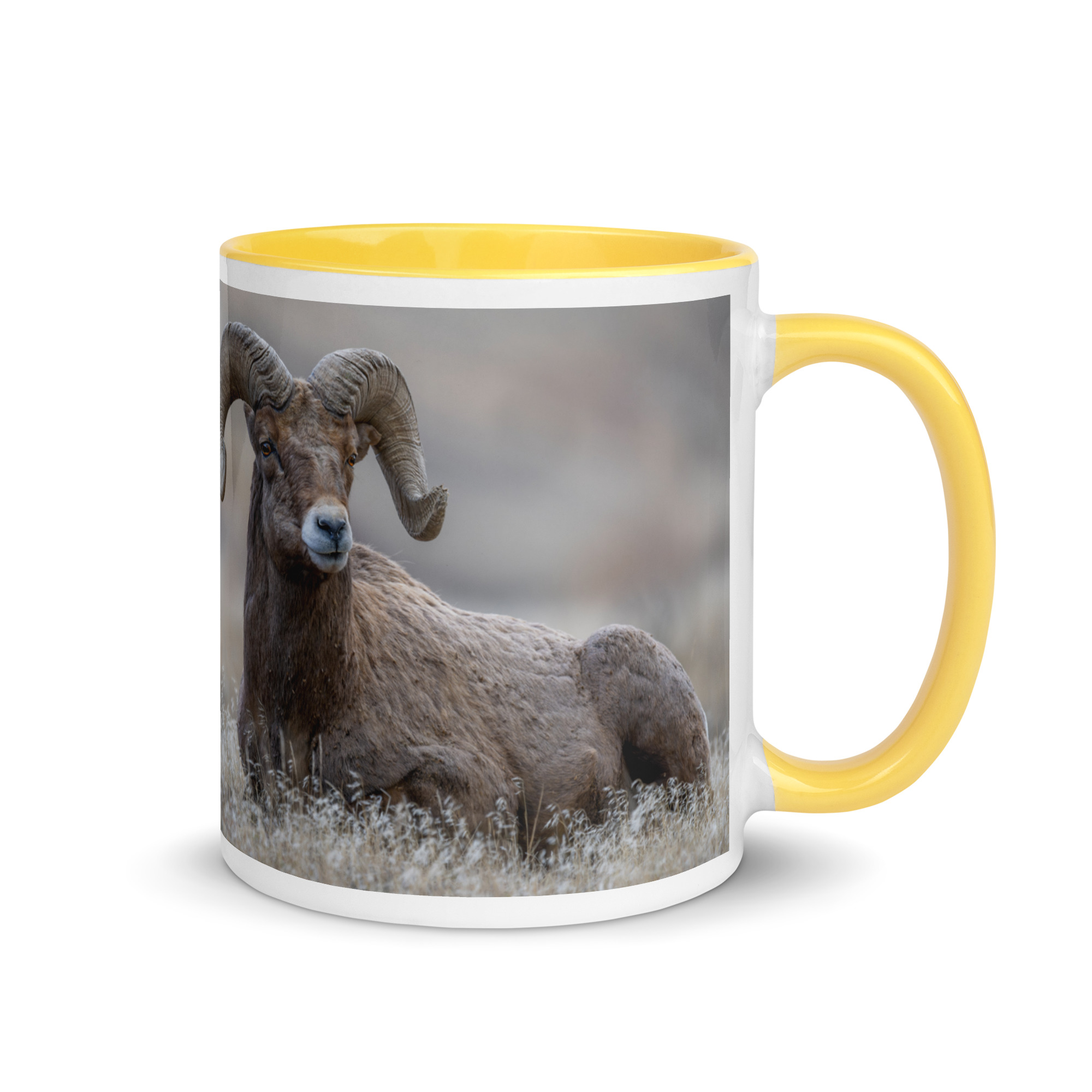 Monarch of Montana Meadows! Mug with Color Inside - Image 28