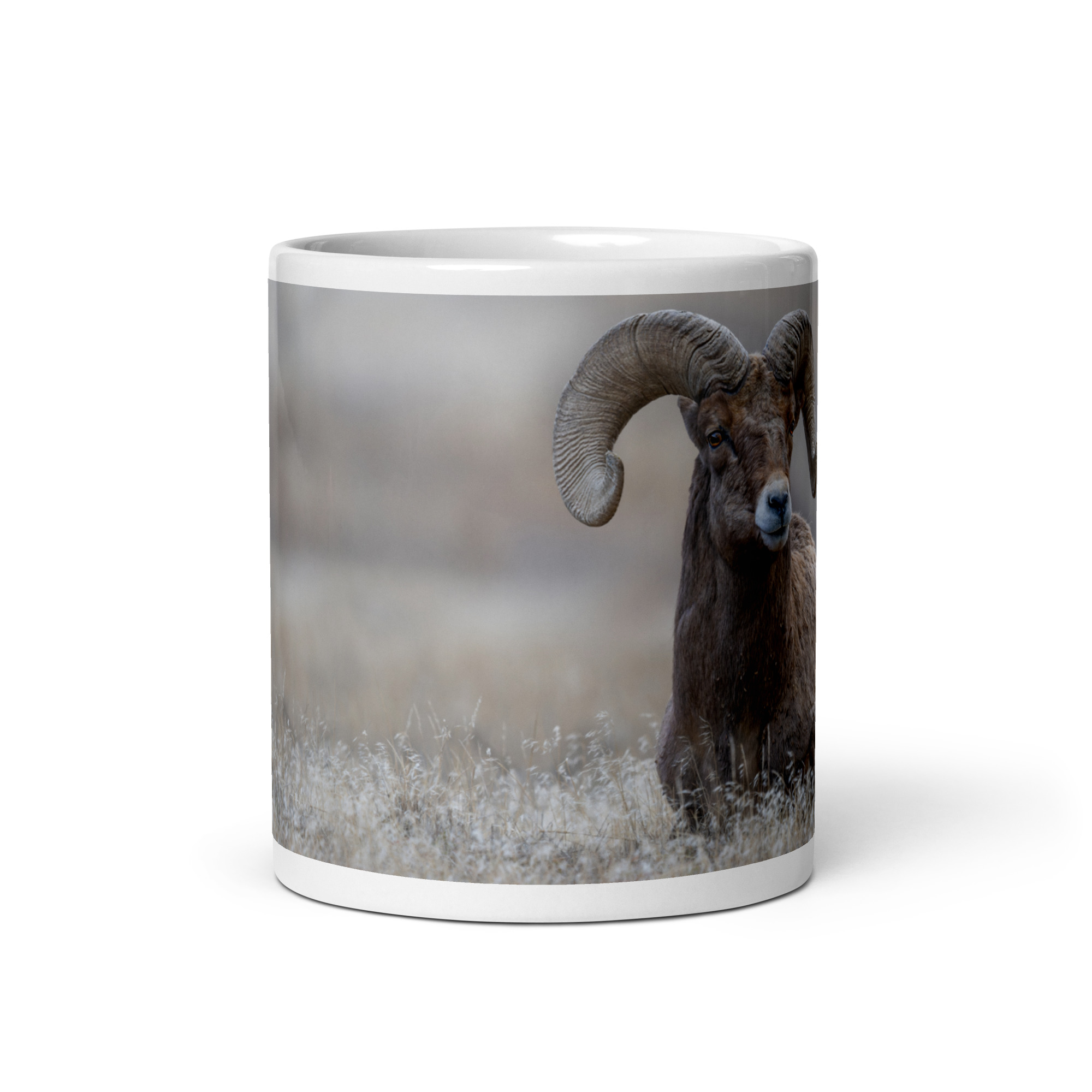 Monarch of Montana Meadows! White glossy mug - Image 3