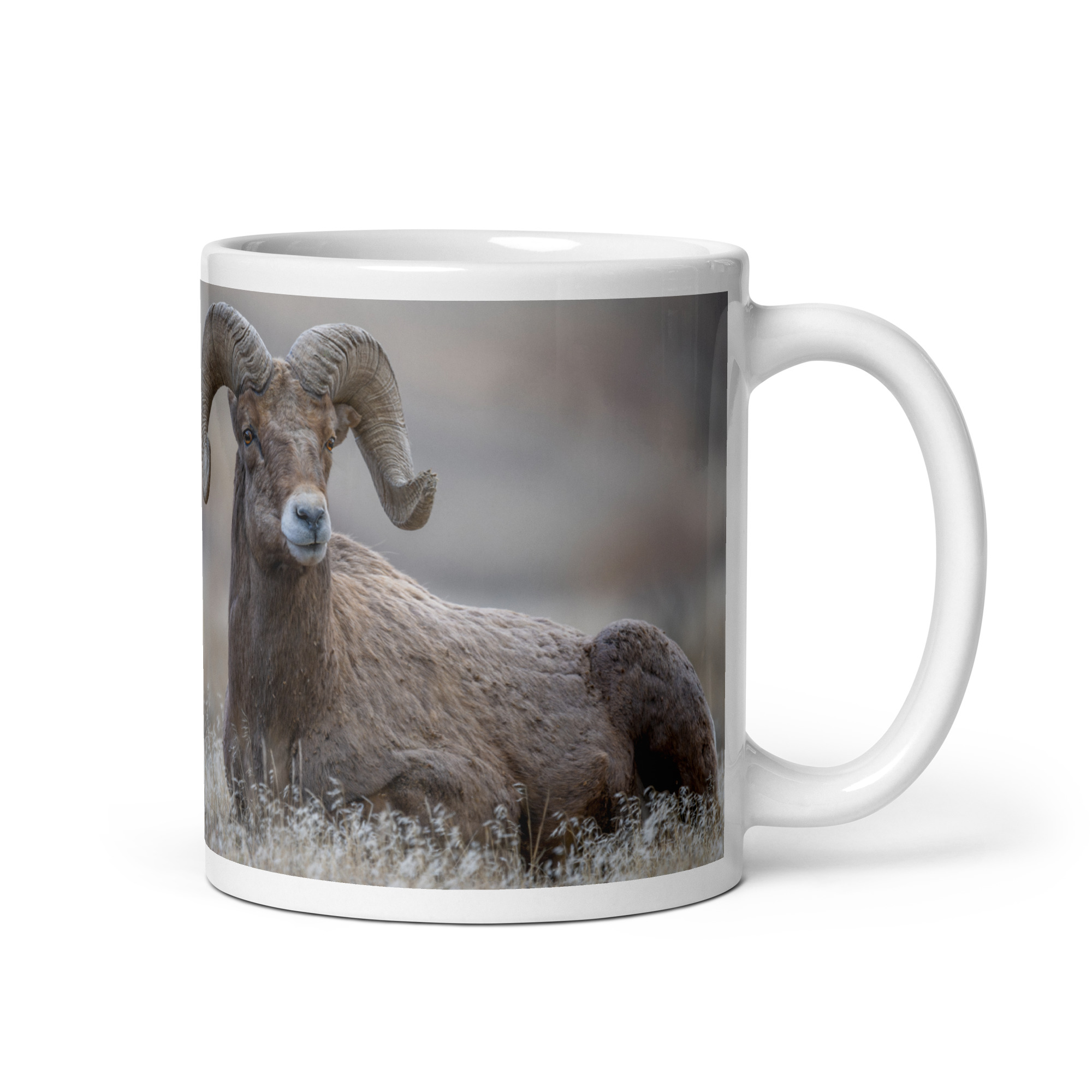 Monarch of Montana Meadows! White glossy mug