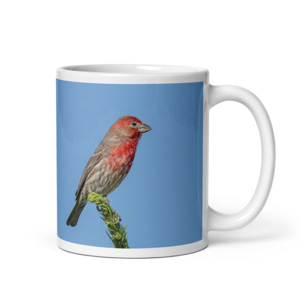 Male House Finch! White glossy mug