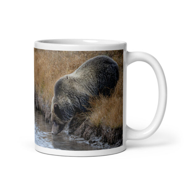 Grizzly bear quenching thirst! White glossy mug