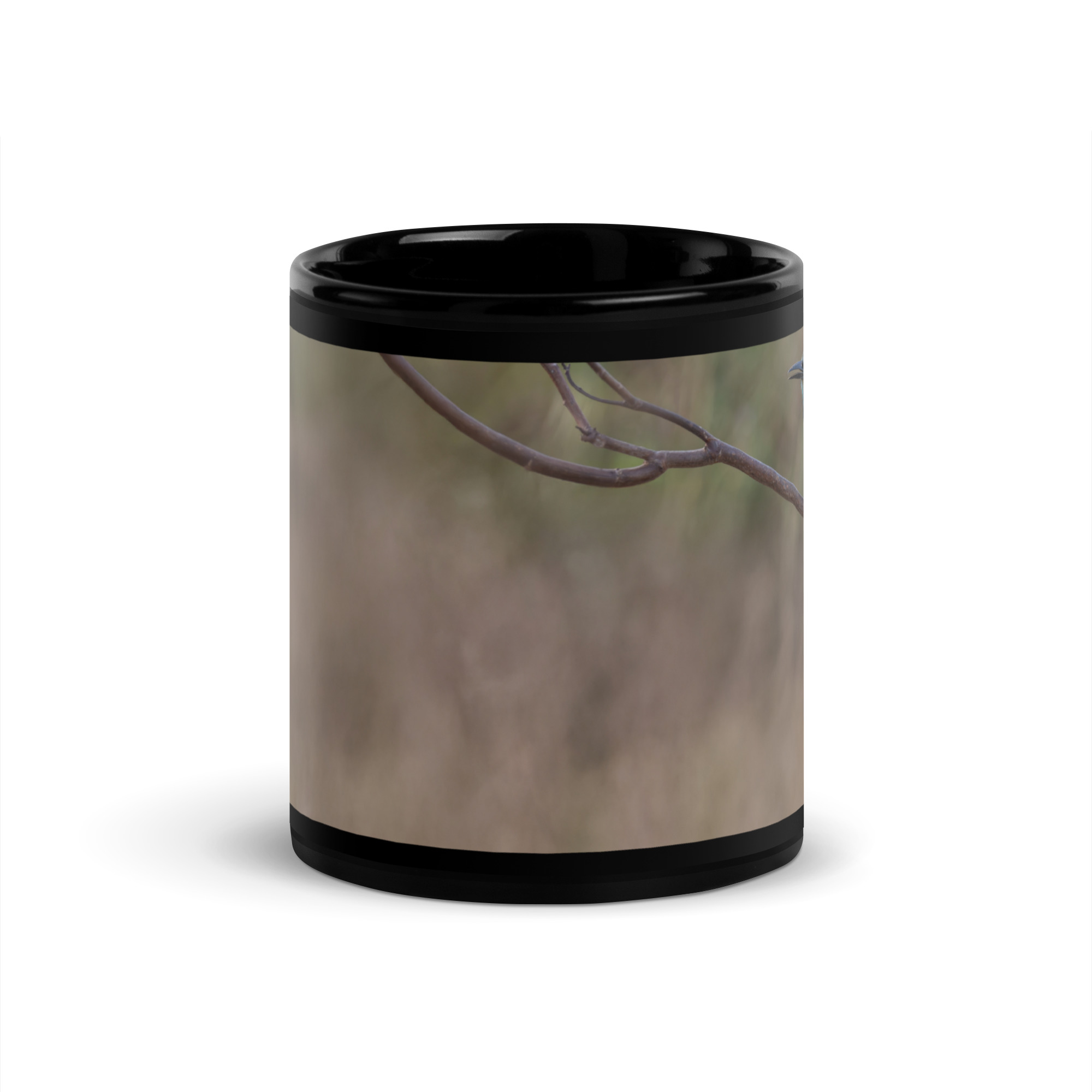 Turquoise-browed motmot! Black Glossy Mug - Image 3