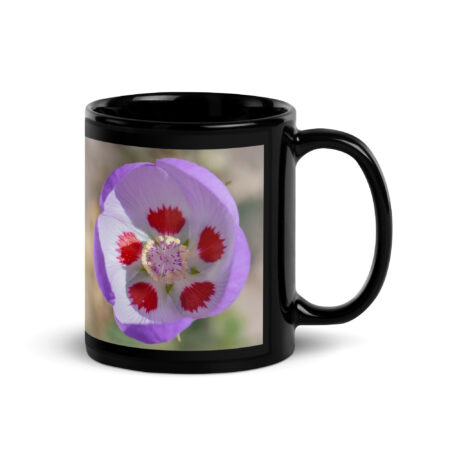 Desert five-spot in bloom! Black Glossy Mug