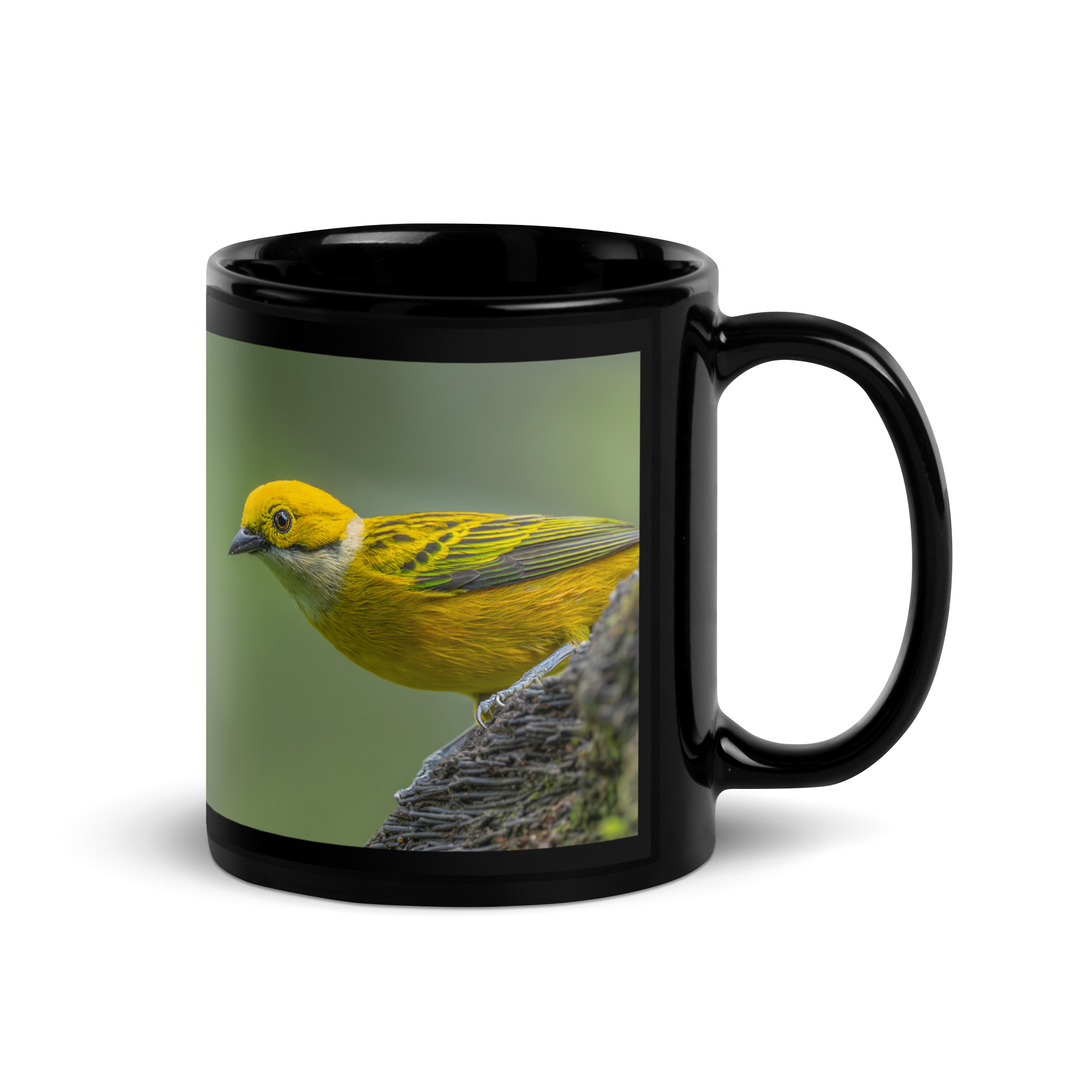 Silver-throated tanager! Black Glossy Mug