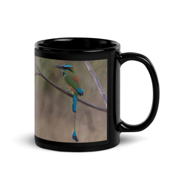 Turquoise browed motmot perches gracefully on a slender branch! Black Glossy Mug