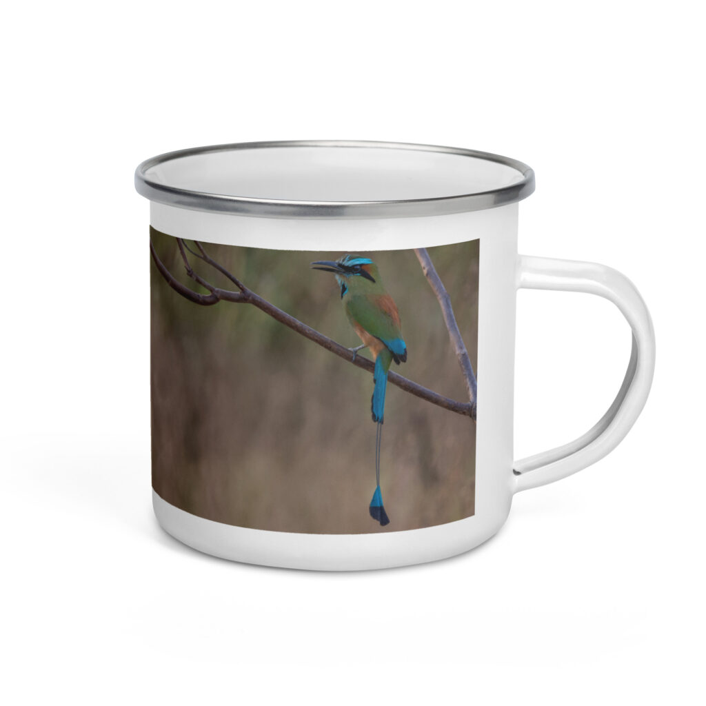 Turquoise browed motmot perches gracefully on a slender branch! Enamel Mug