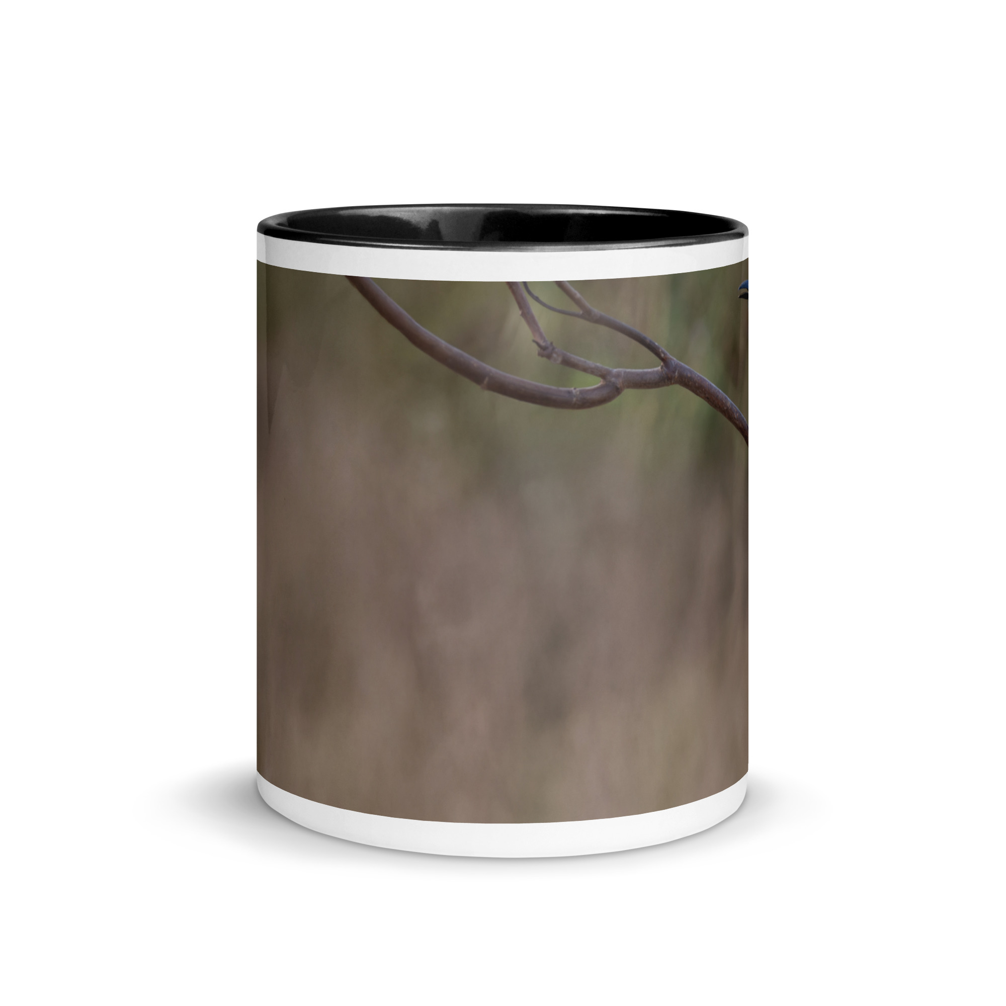 Turquoise-browed motmot! Mug with Color Inside - Image 3