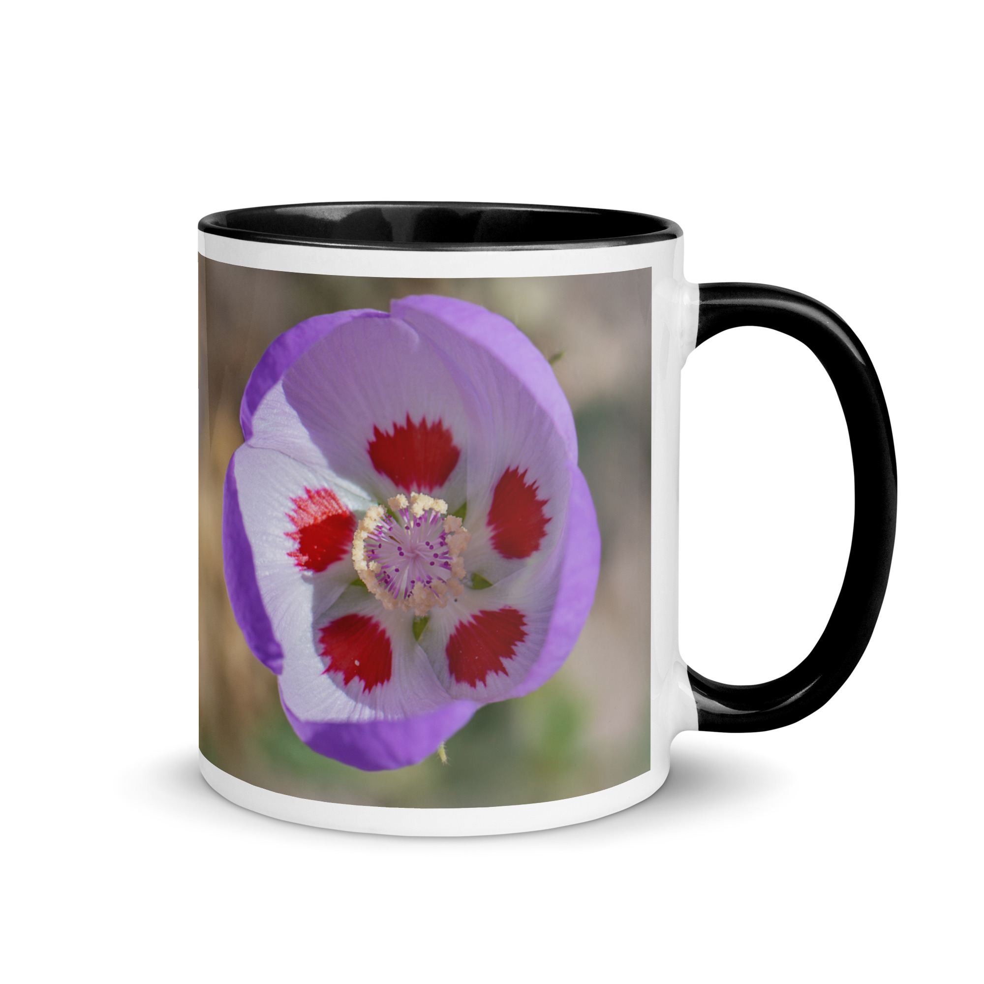 Desert five-spot in bloom! Mug with Color Inside - Image 2