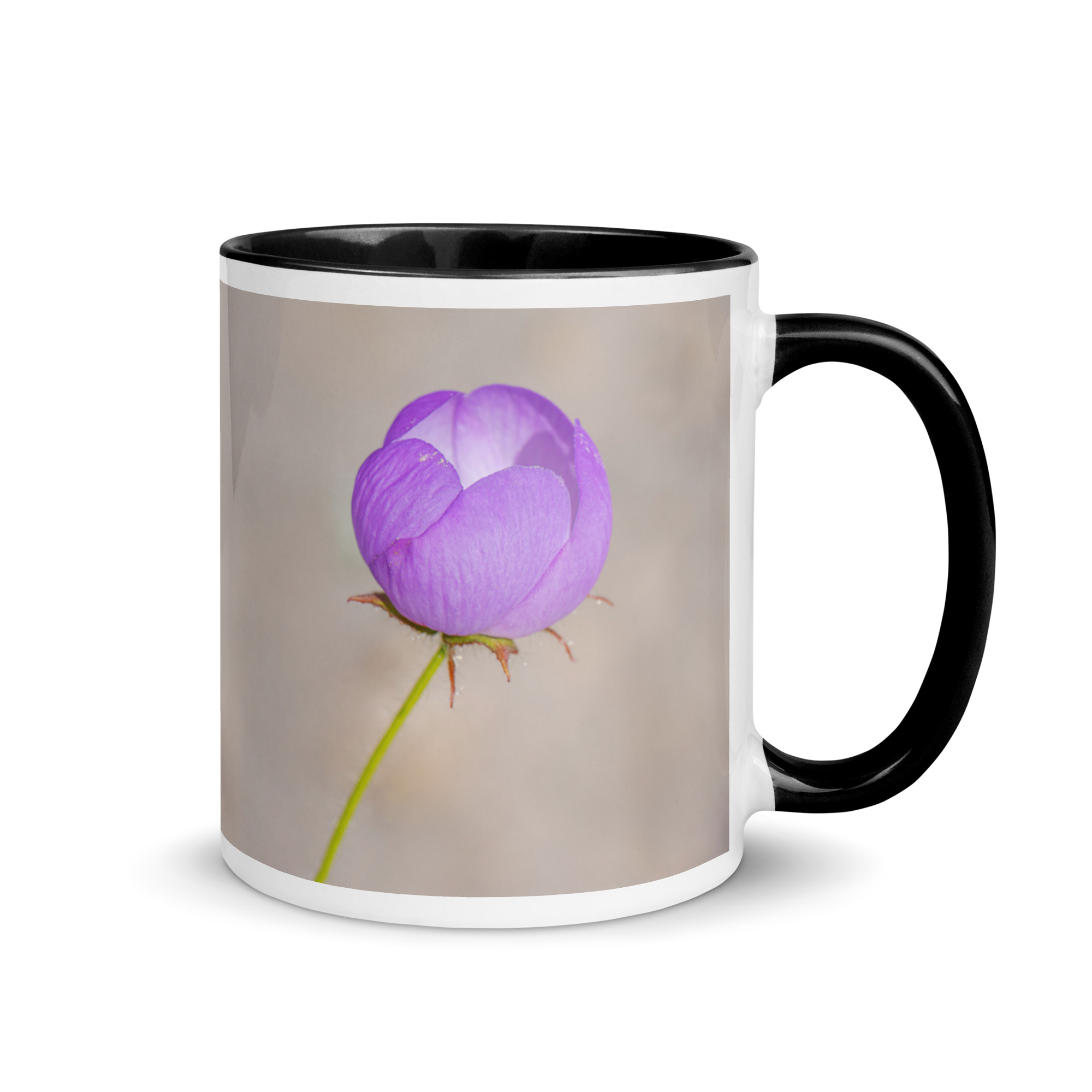 Desert five-spot! Mug with Color Inside - Image 2
