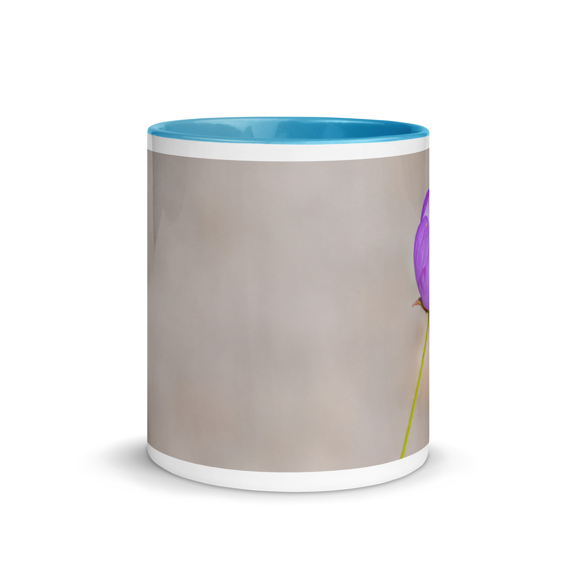 Desert five-spot! Mug with Color Inside - Image 17