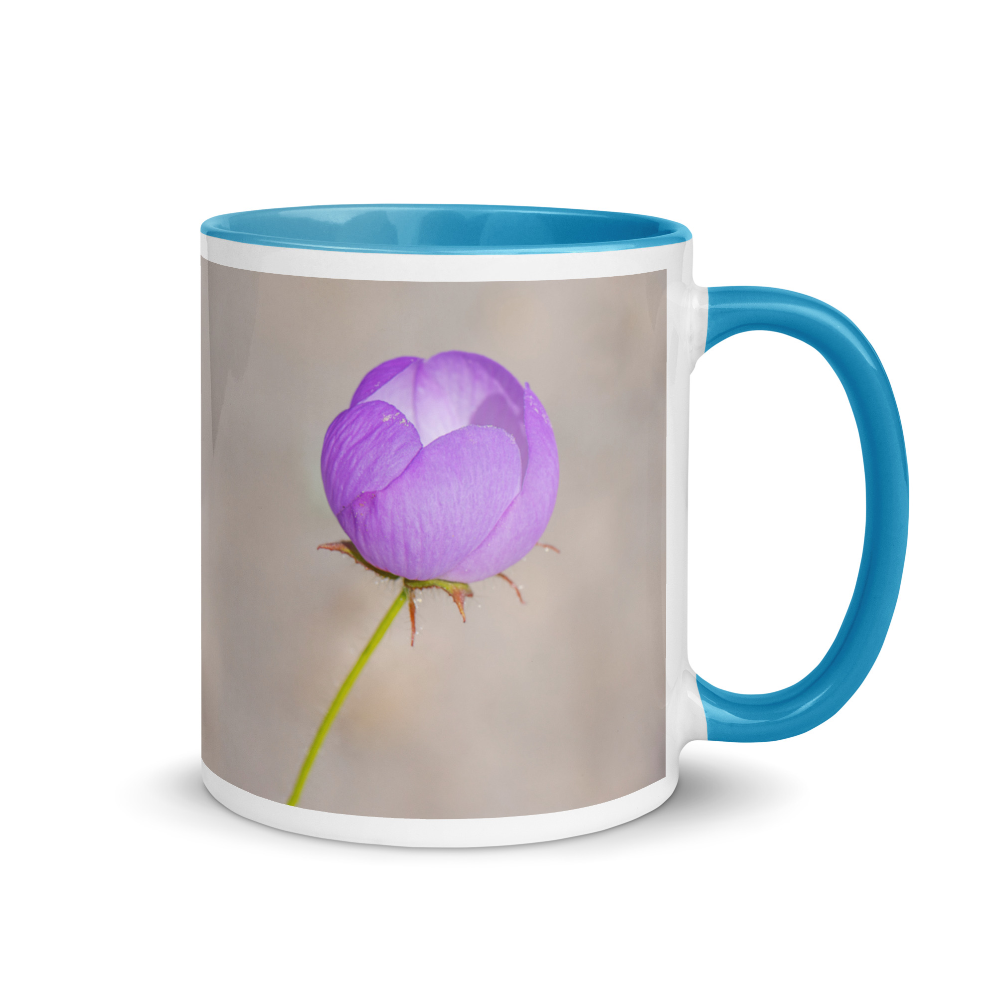 Desert five-spot! Mug with Color Inside - Image 16