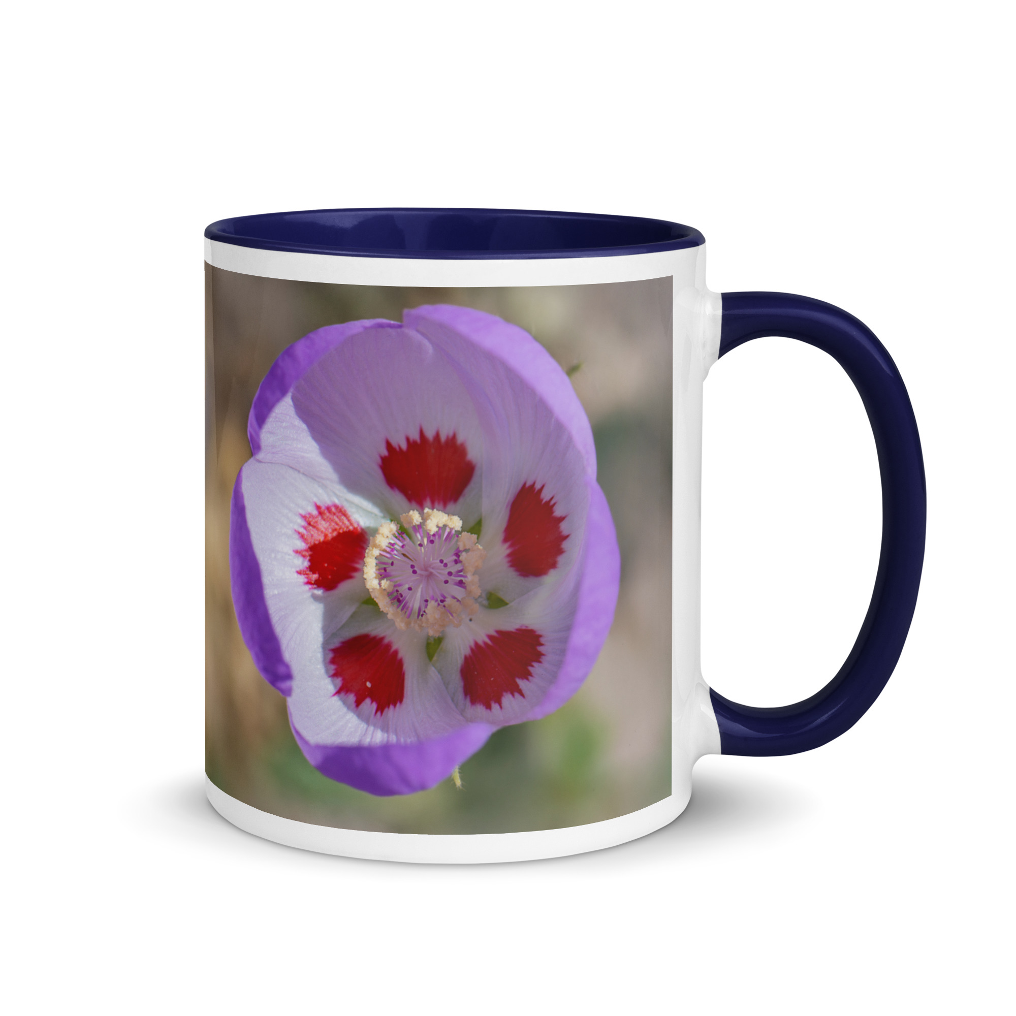 Desert five-spot in bloom! Mug with Color Inside - Image 5