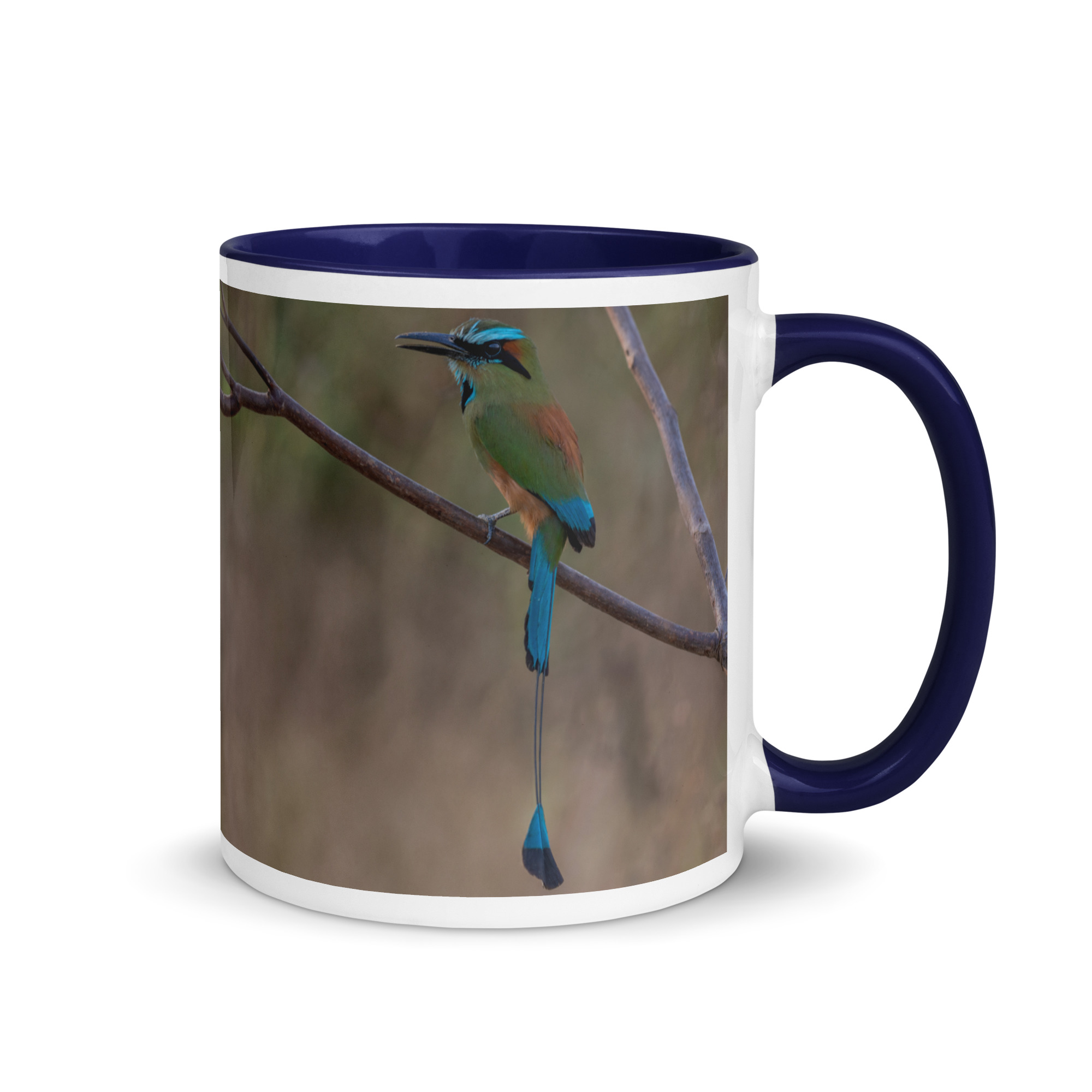 Turquoise-browed motmot! Mug with Color Inside - Image 5