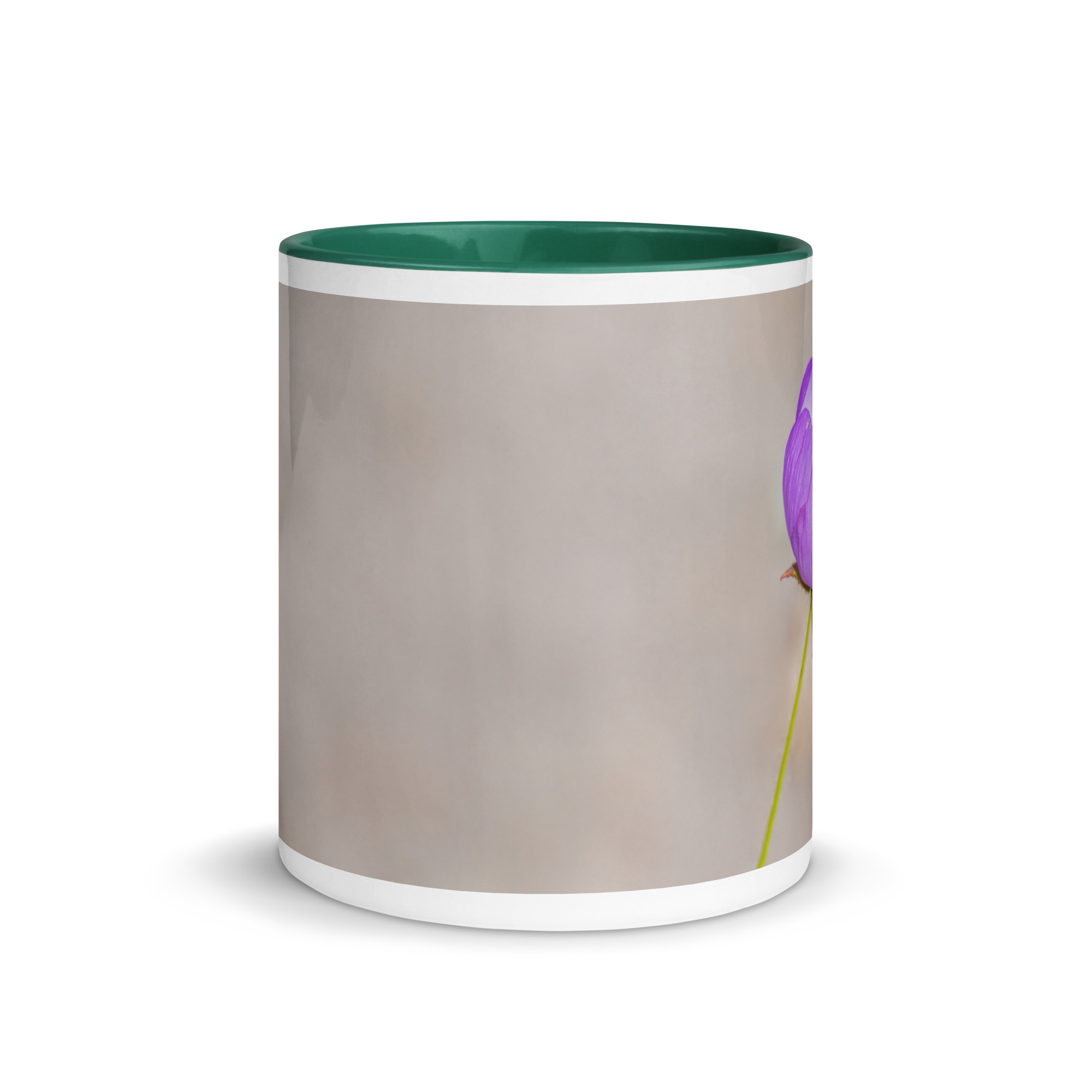 Desert five-spot! Mug with Color Inside - Image 11