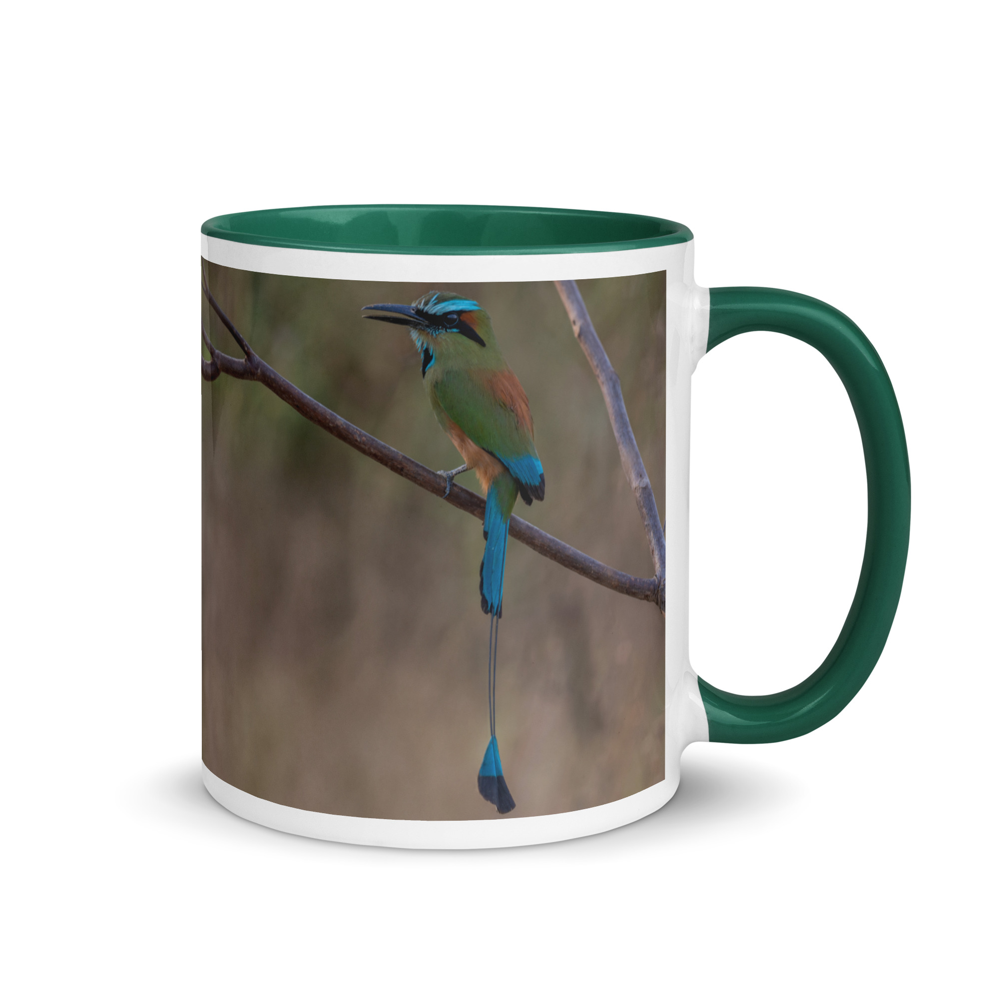 Turquoise-browed motmot! Mug with Color Inside - Image 10