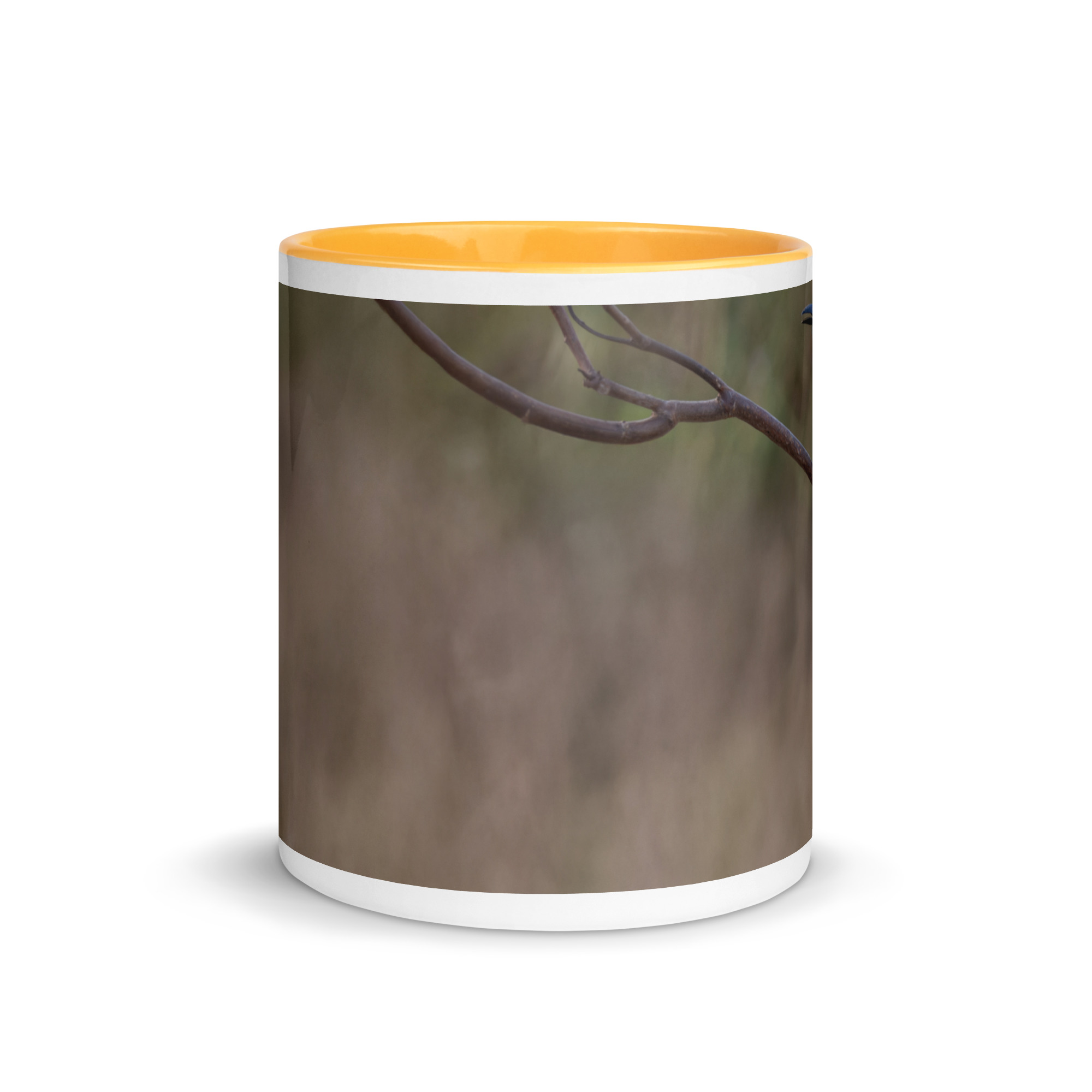 Turquoise-browed motmot! Mug with Color Inside - Image 23